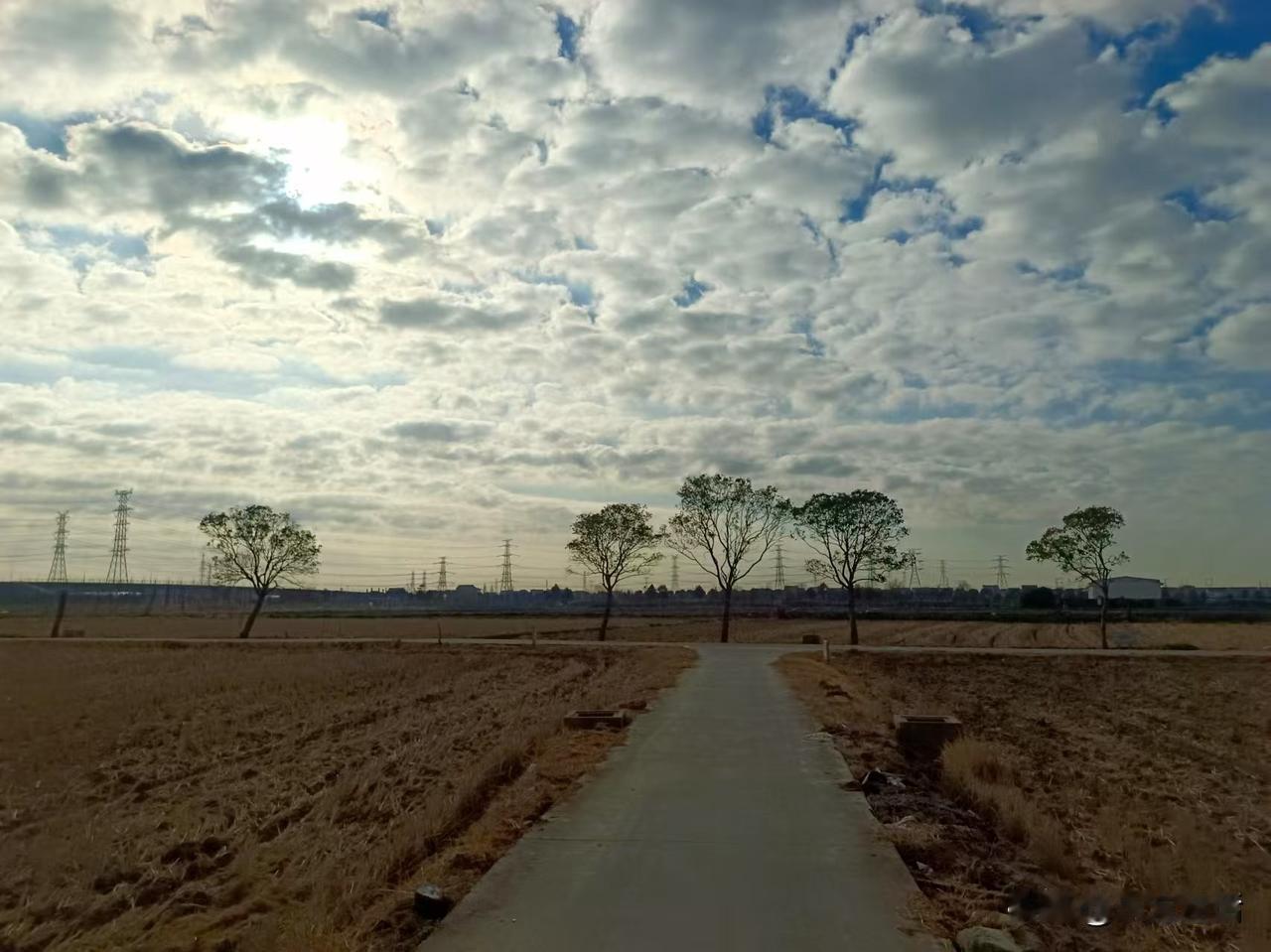 梁东方
航头有传统的庙宇建筑梓潼莲院，航头有西方城堡格式的尖顶建筑新天鹅堡艺术宫