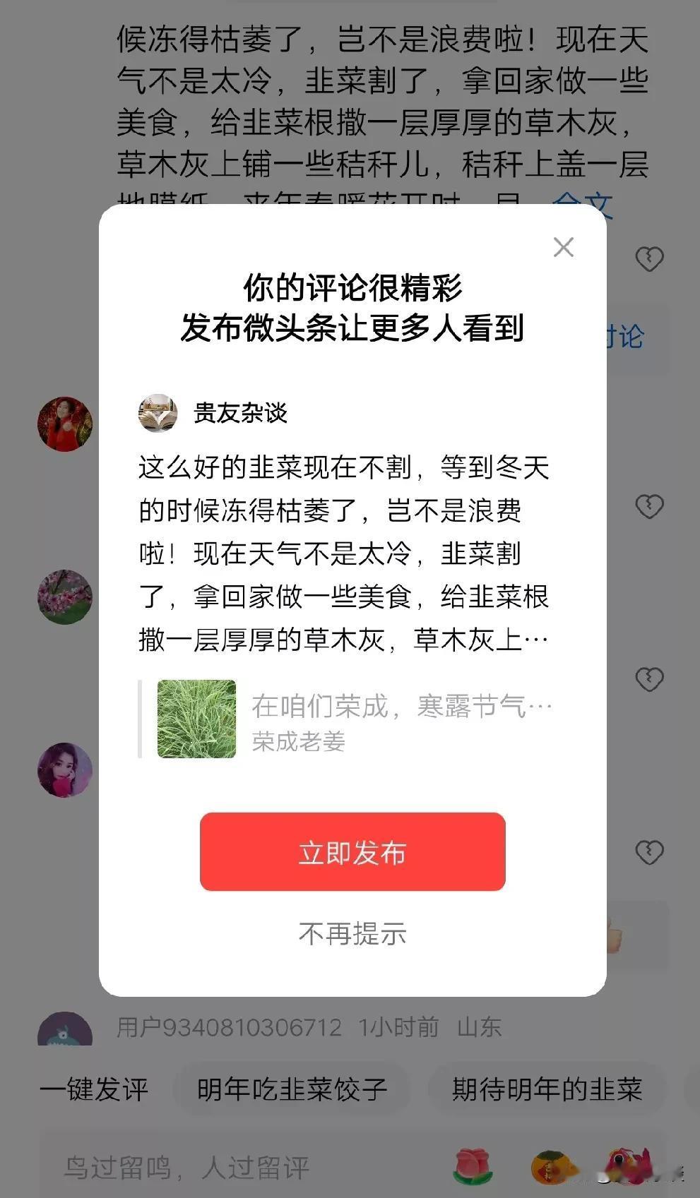 这么好的韭菜现在不割，等到冬天的时候冻得枯萎了，岂不是浪费啦！现在天气不是太冷，