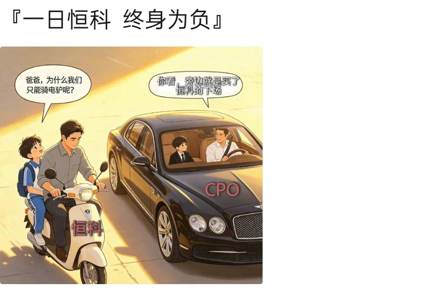 刷到这条后我去看了下恒科，小米股价跌真的不能怪小米