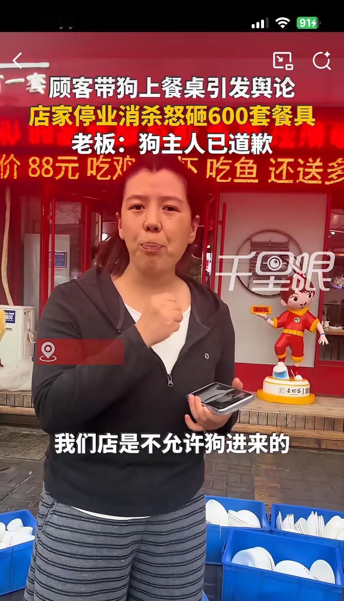 顾客带狗上餐桌发视频上网，饭馆生意一落千丈，老板一气之下砸毁所有餐具，损失上万元
