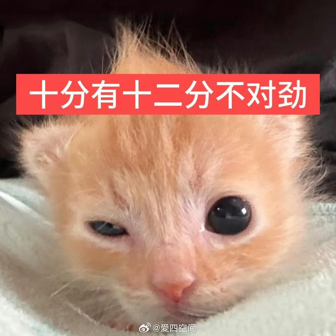 抖音上有个“这个照片怎么自带评论”的 我打算发这个 然后抱紧看着几十张照片头脑风
