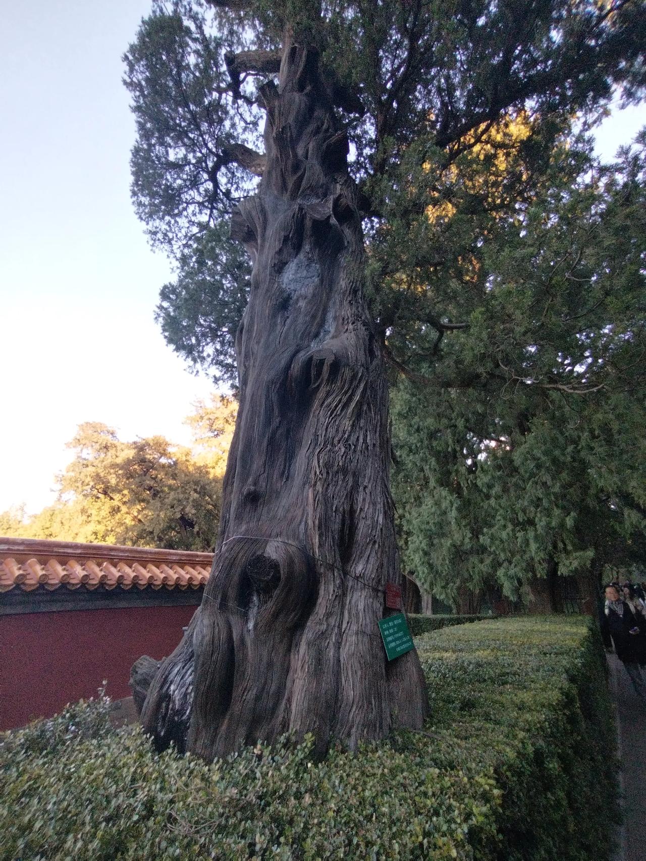 临江仙（贺铸体）    寄友人李博生
世事红尘如梦景，
悠悠岁月峥嵘。
粗茶淡饭