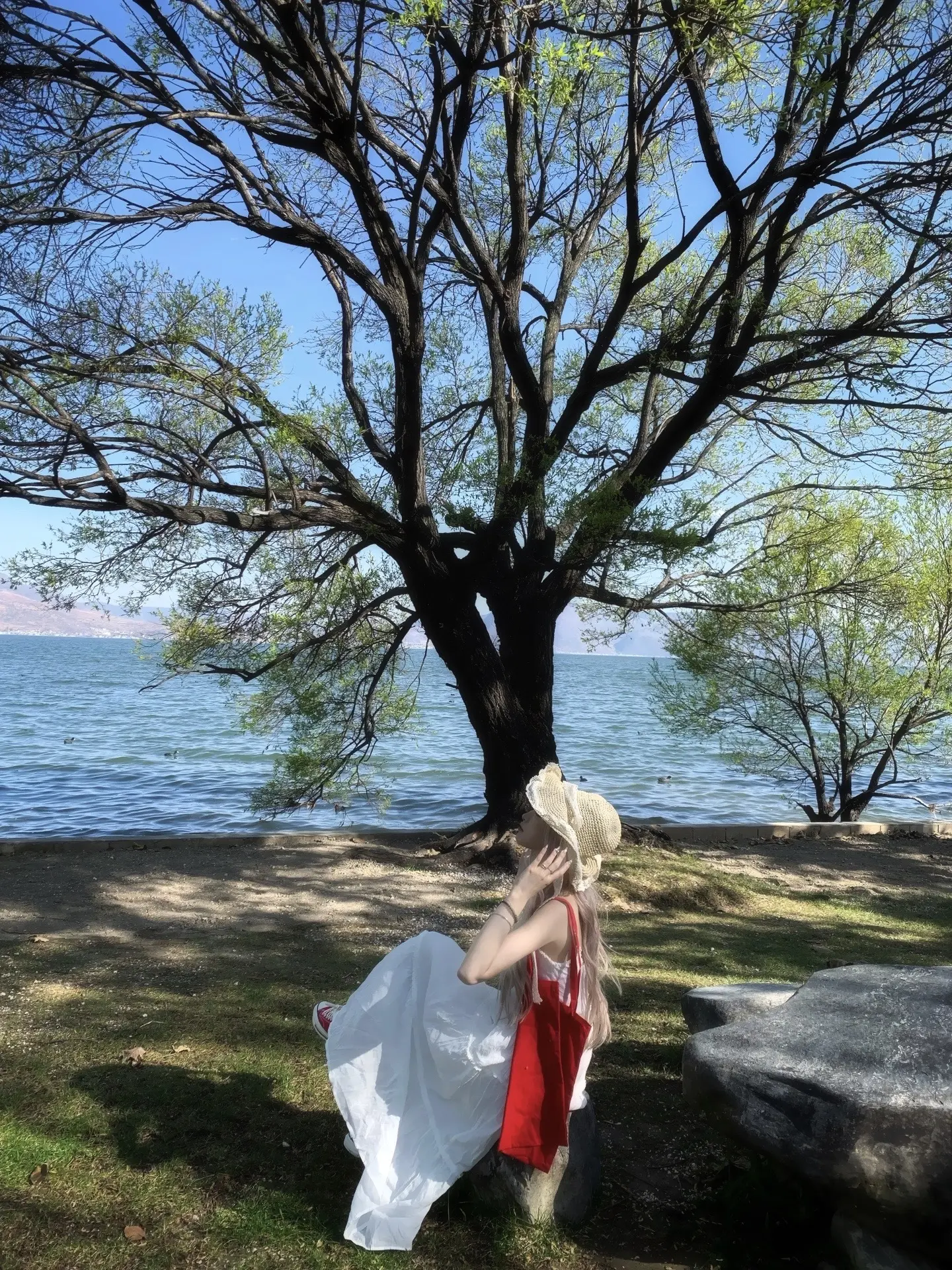 风轻轻 我听见你声音