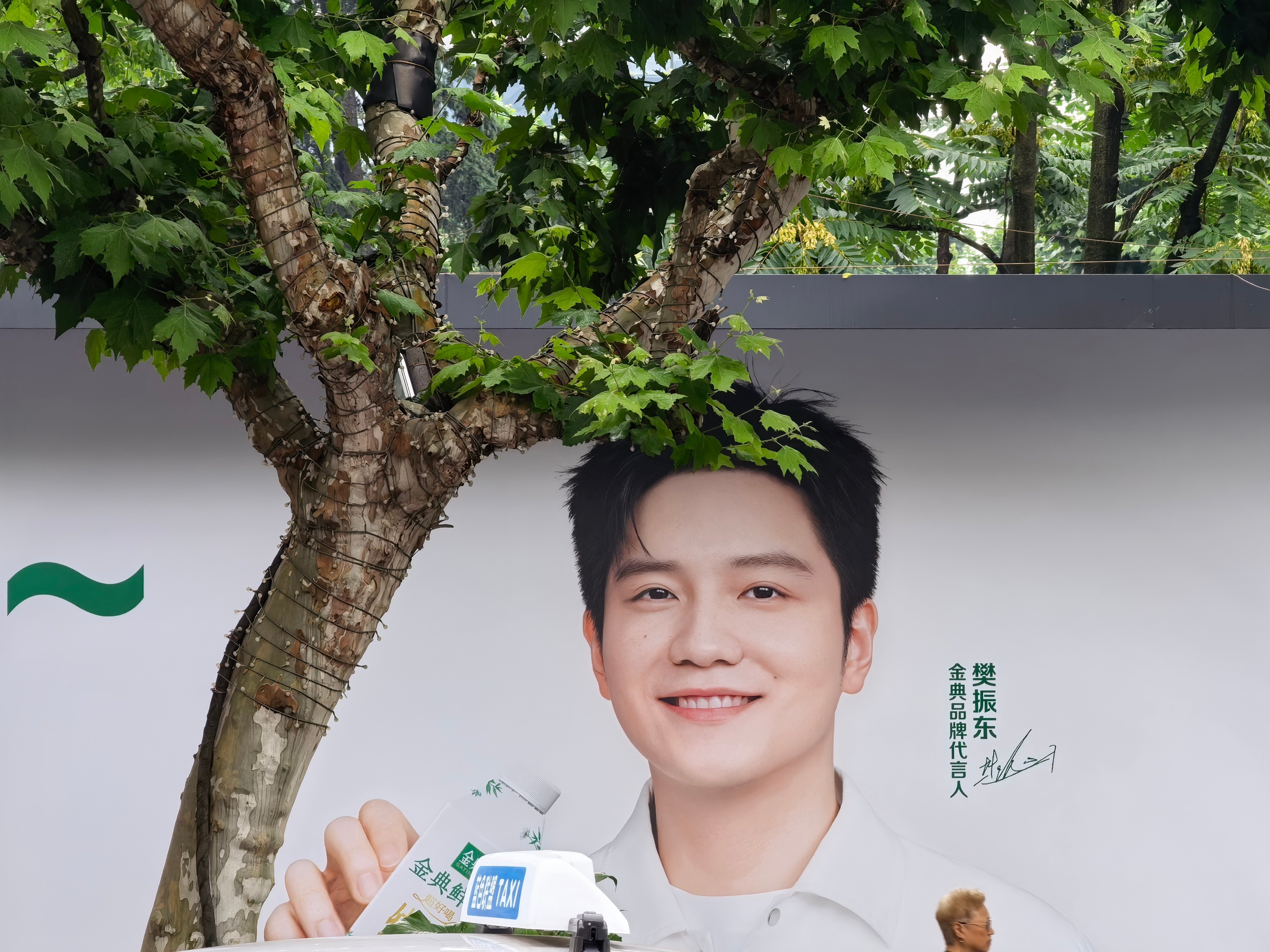 接着这条再说说，有这样的联想一开始是因为在金典拍摄的广告画面里看到了小樊拿着的书