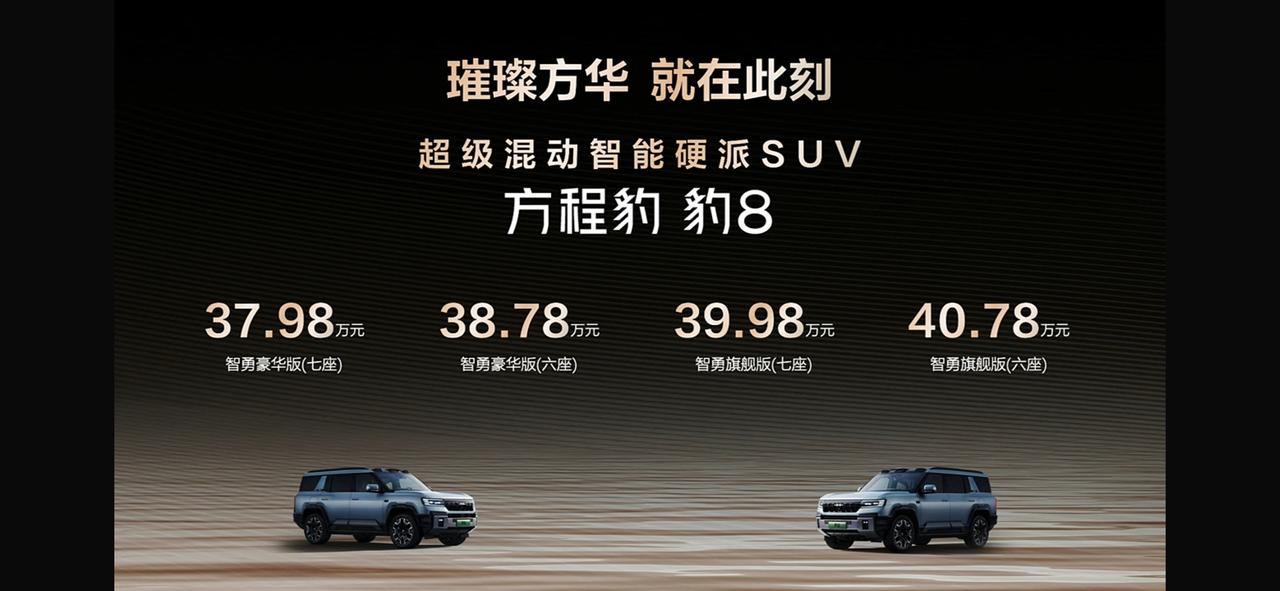 方程豹豹5 方程豹豹8