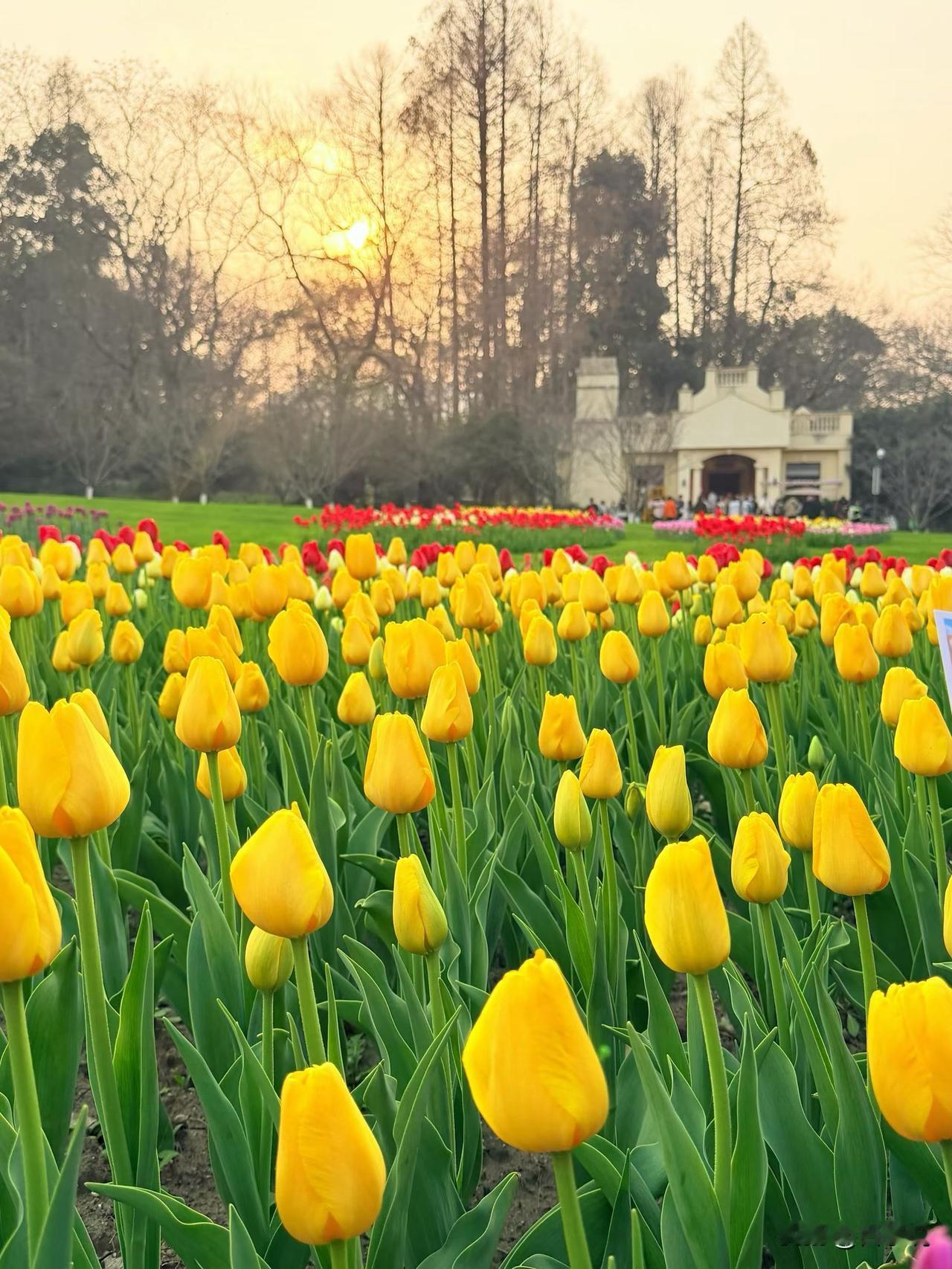 晚年最聪明的活法，
就这10个“要”！

一、要认老。
老了就是老了，
不逞能，