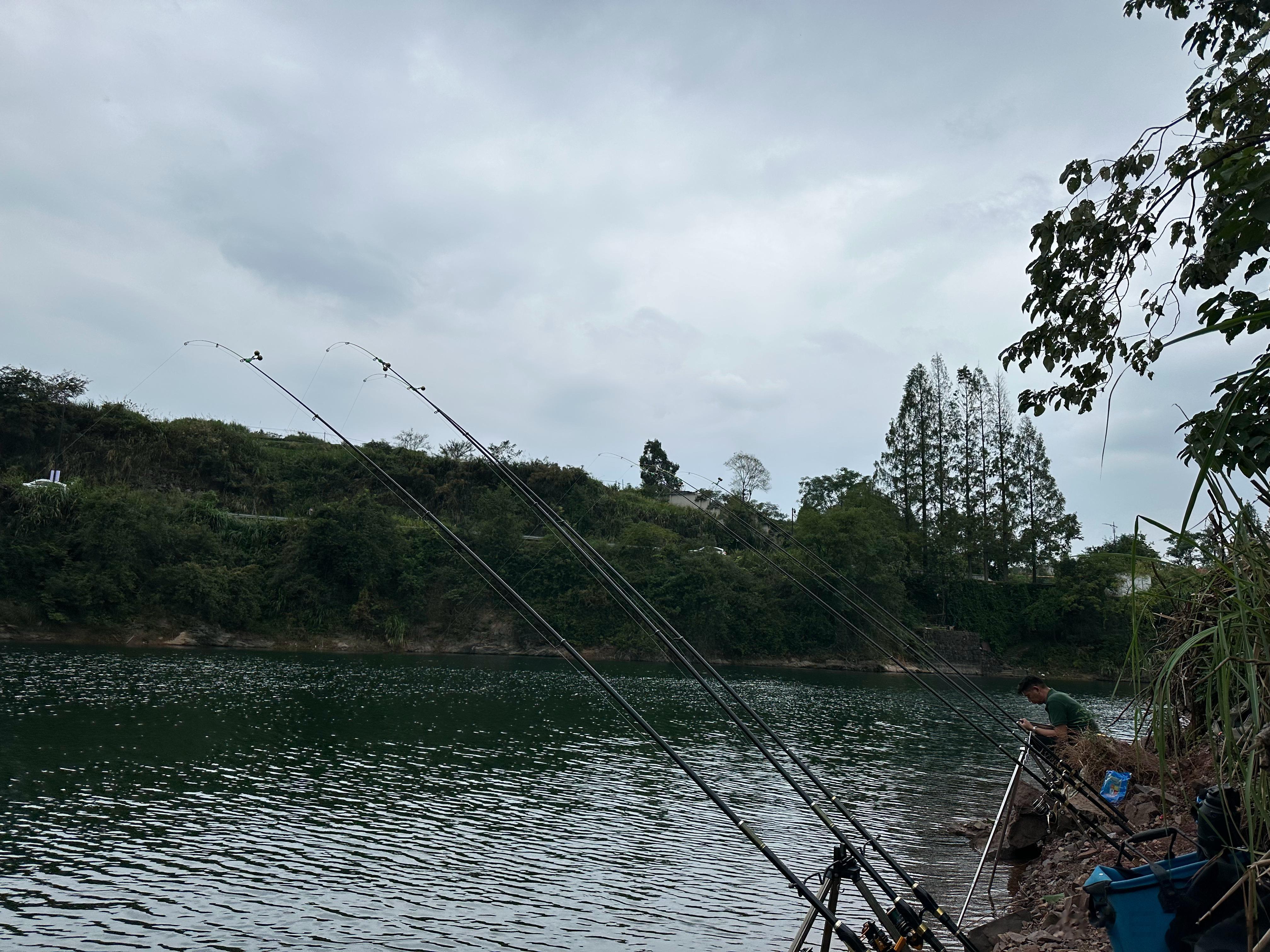 #浙江游泳为啥这么强#浙江全部都是三点水旁，也就是说，浙江全是水，放眼全国，独此