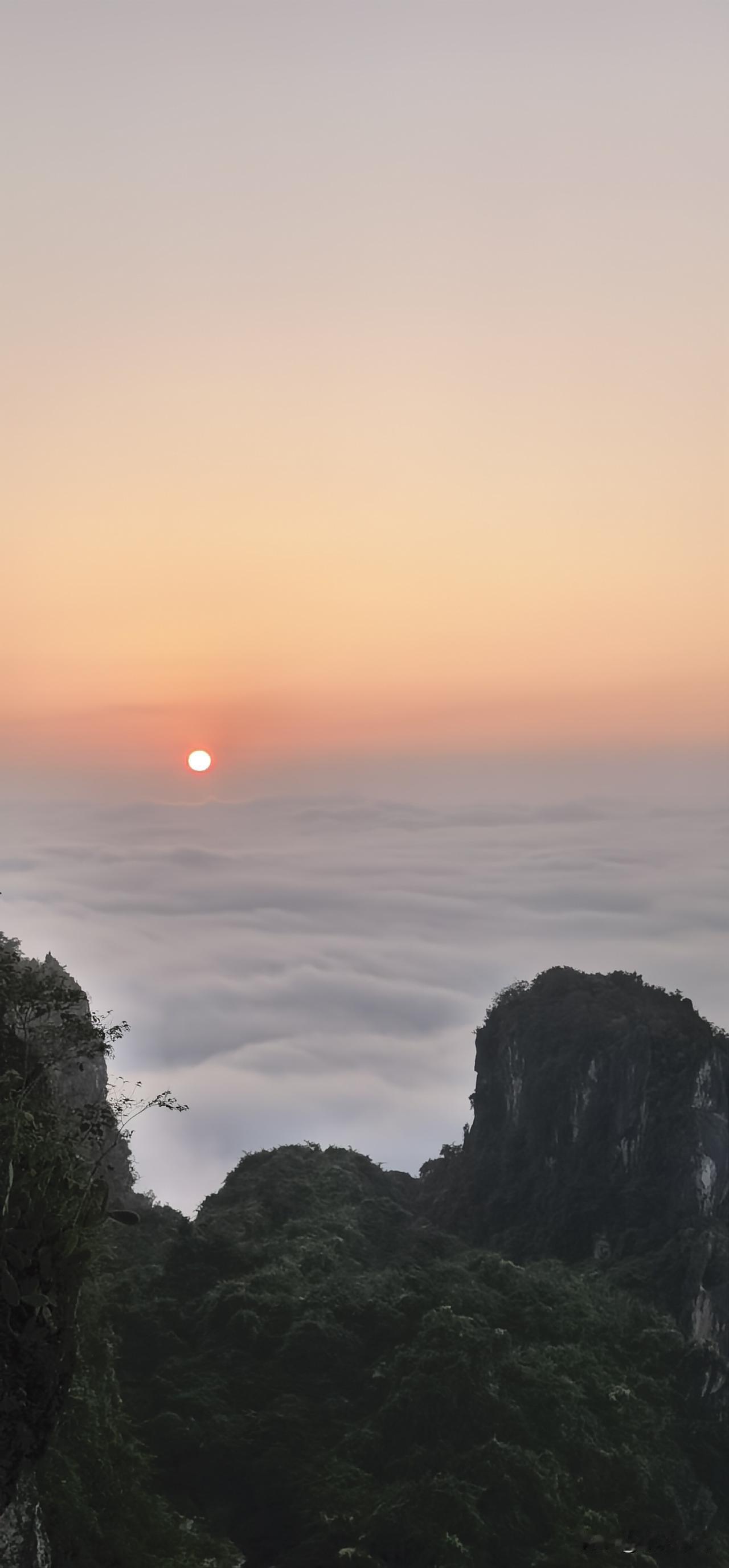 复旦大学陈果说：“女人出轨的本质，不是爱，也不是性，而是用最低的成本，兑换一场‘