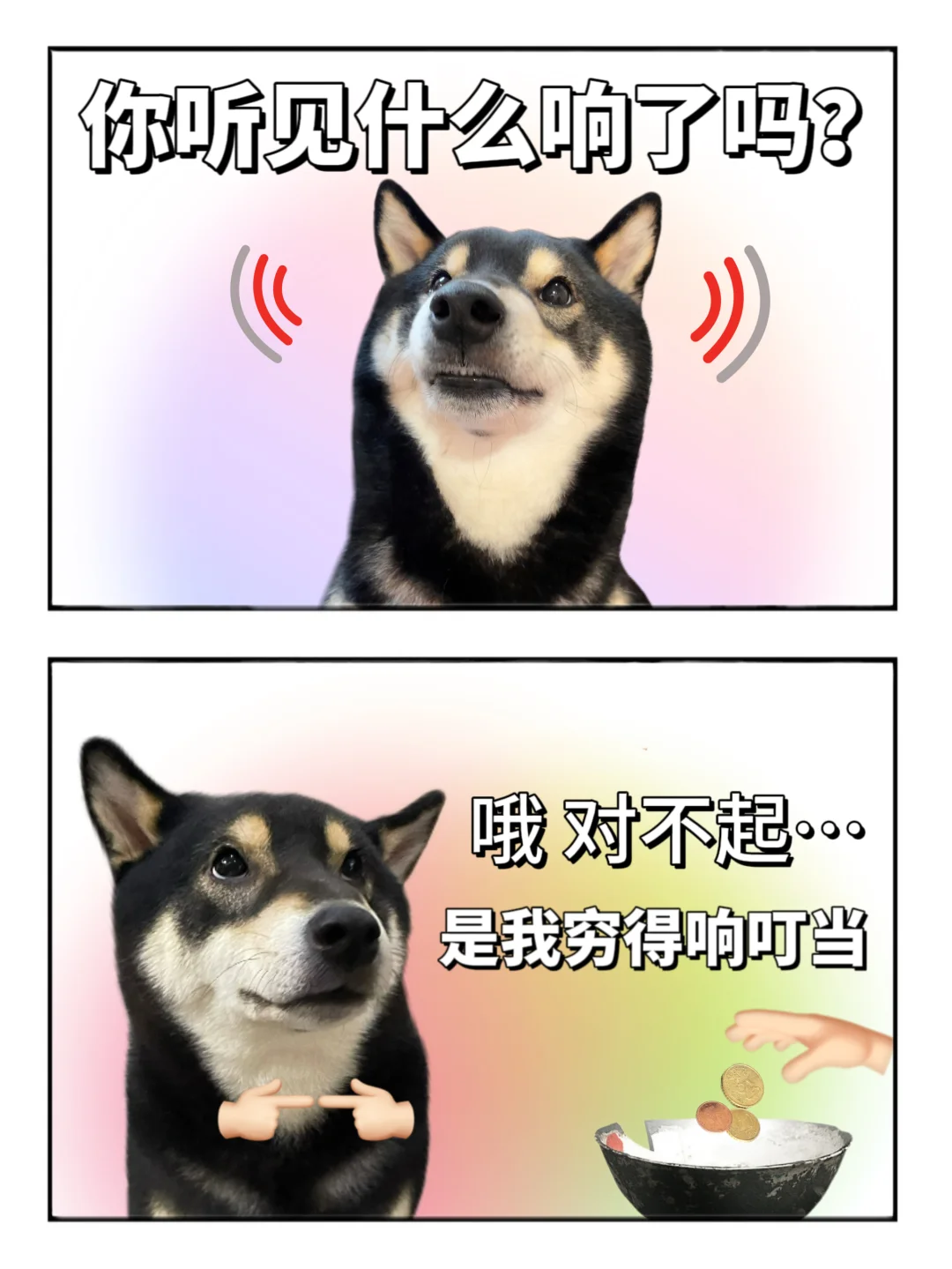 表情包|是金子！总会被我花光😭