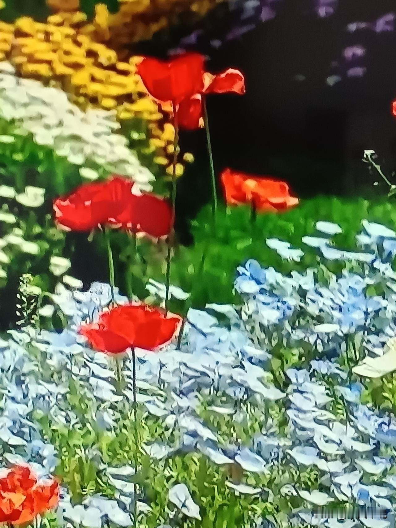 去花田小镇玩儿。

今年春天最想实现的，就是去花田小镇住上几天。

那里的阳光应