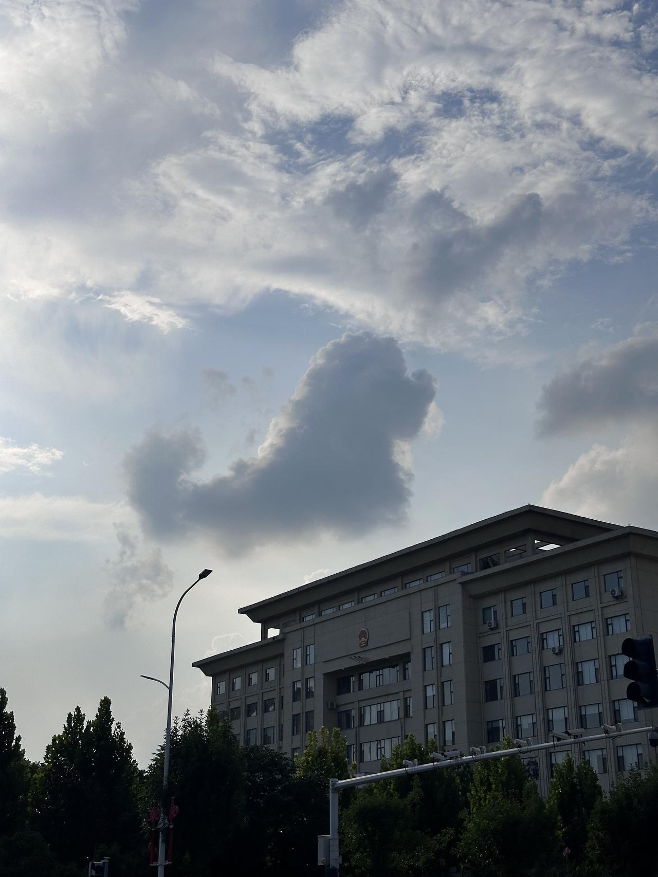 抬头偶遇天空惊喜，蓬松云朵形似乖巧小狗静静伏在楼宇上空，层层云絮温柔舒展。随手定