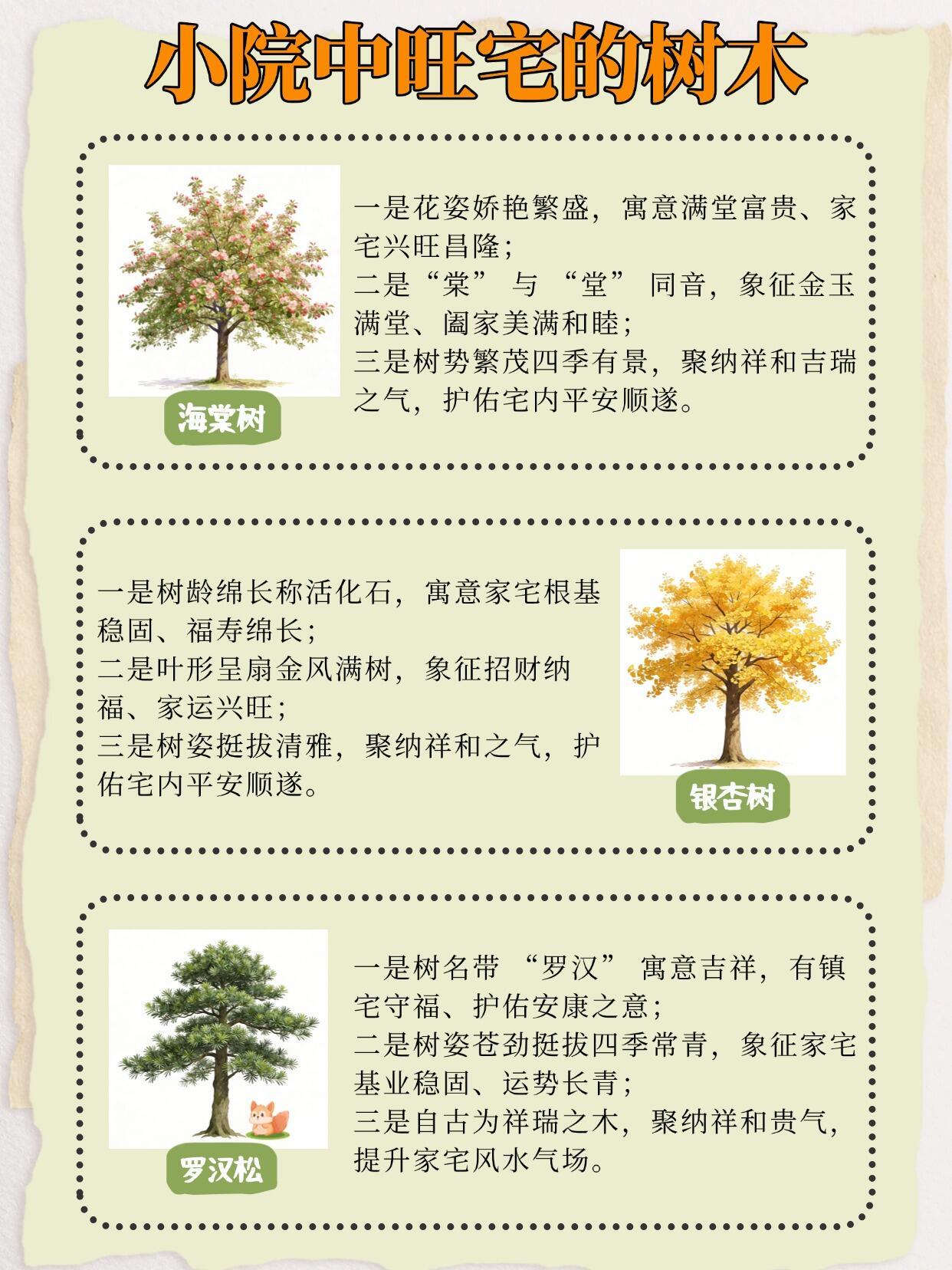 小院中旺宅的树木 