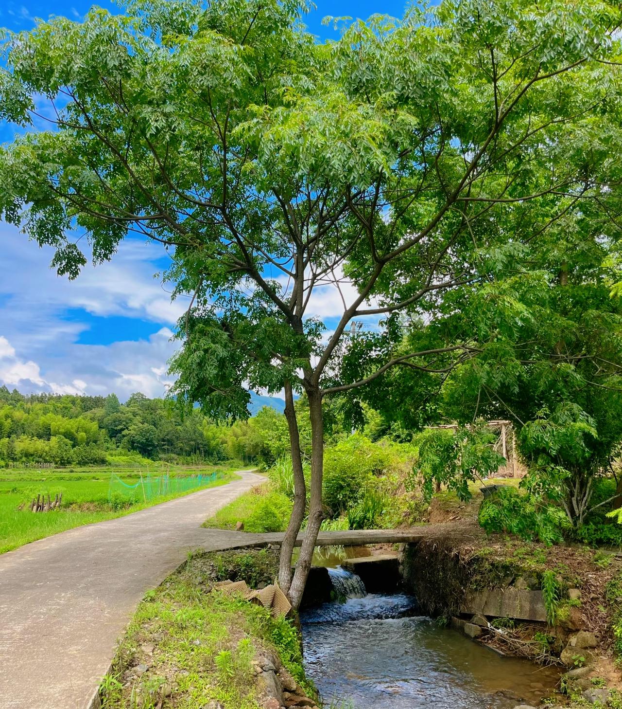 刘震云 ：）
男人有钱了就对自己好点， 因为没钱的时候你受尽了委屈。这个世界上只