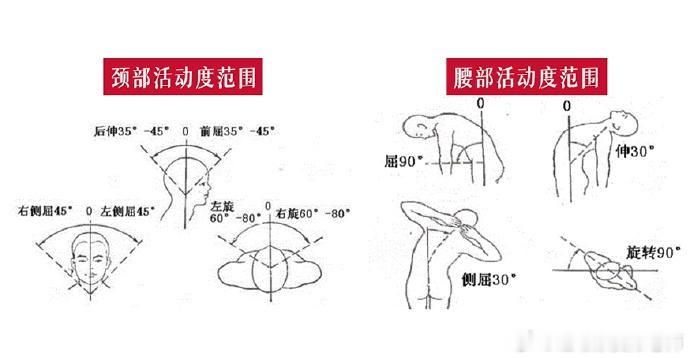 活动度  总是说关节活动度，今天给大家看看各个主要关节，正常的活动度范围都是多少