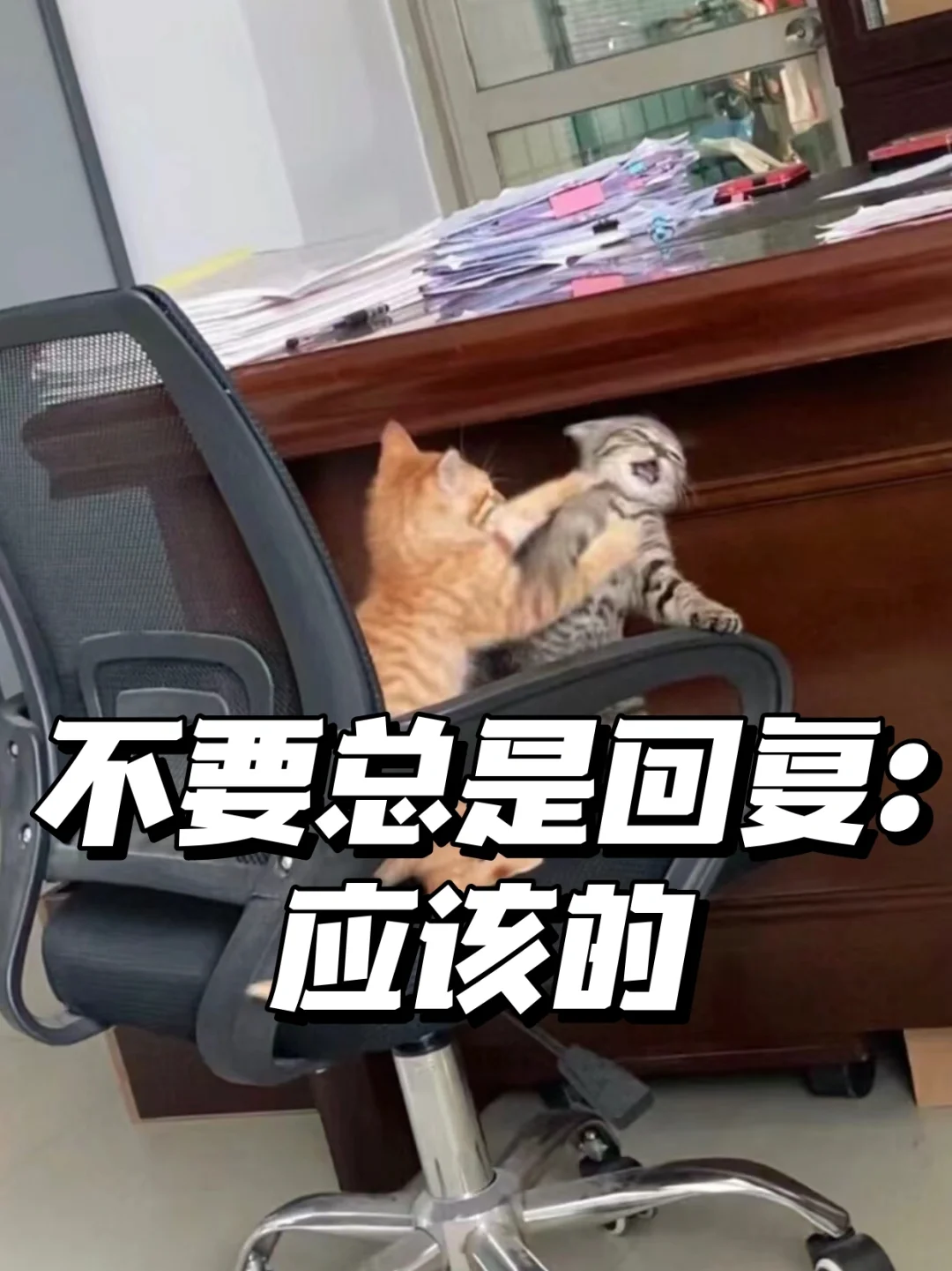 体制内真的有它自己的一套语言