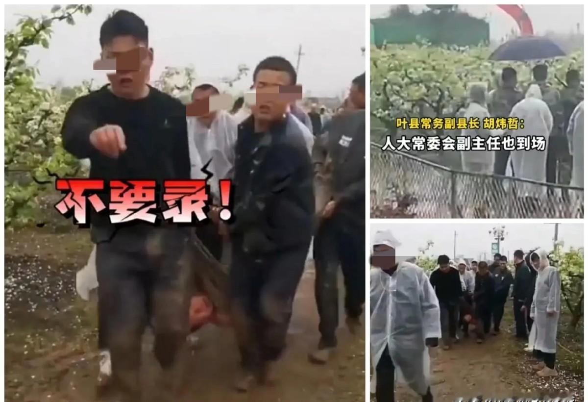 “震惊！叶县果园强拆事件背后的可能结局”
这场在叶县发生的果园强拆事件，引发了广