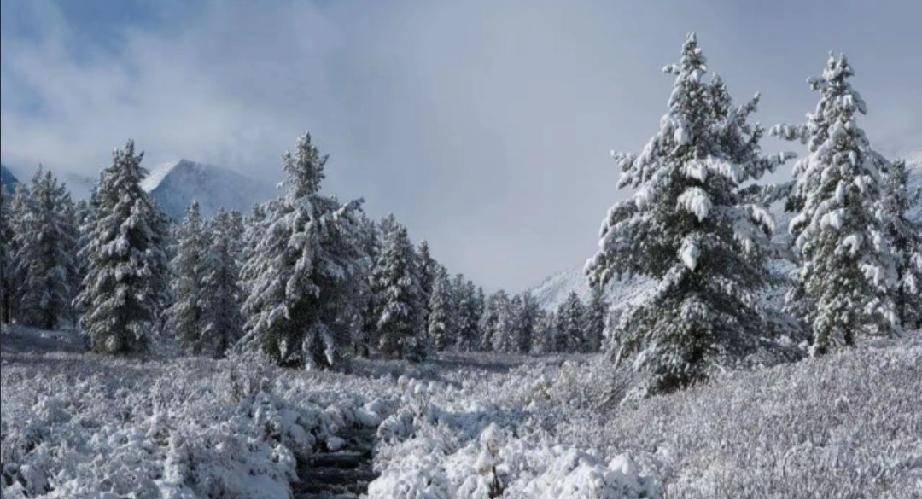 为什么中国古代未将
西伯利亚纳入版图，

核心原因是农耕文明的生存逻辑与西伯利亚