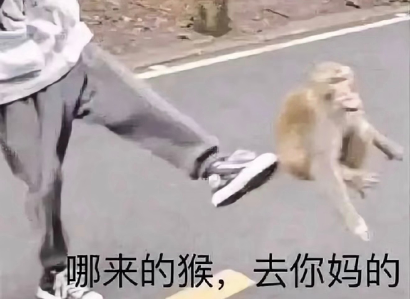 左奇函李浩宇