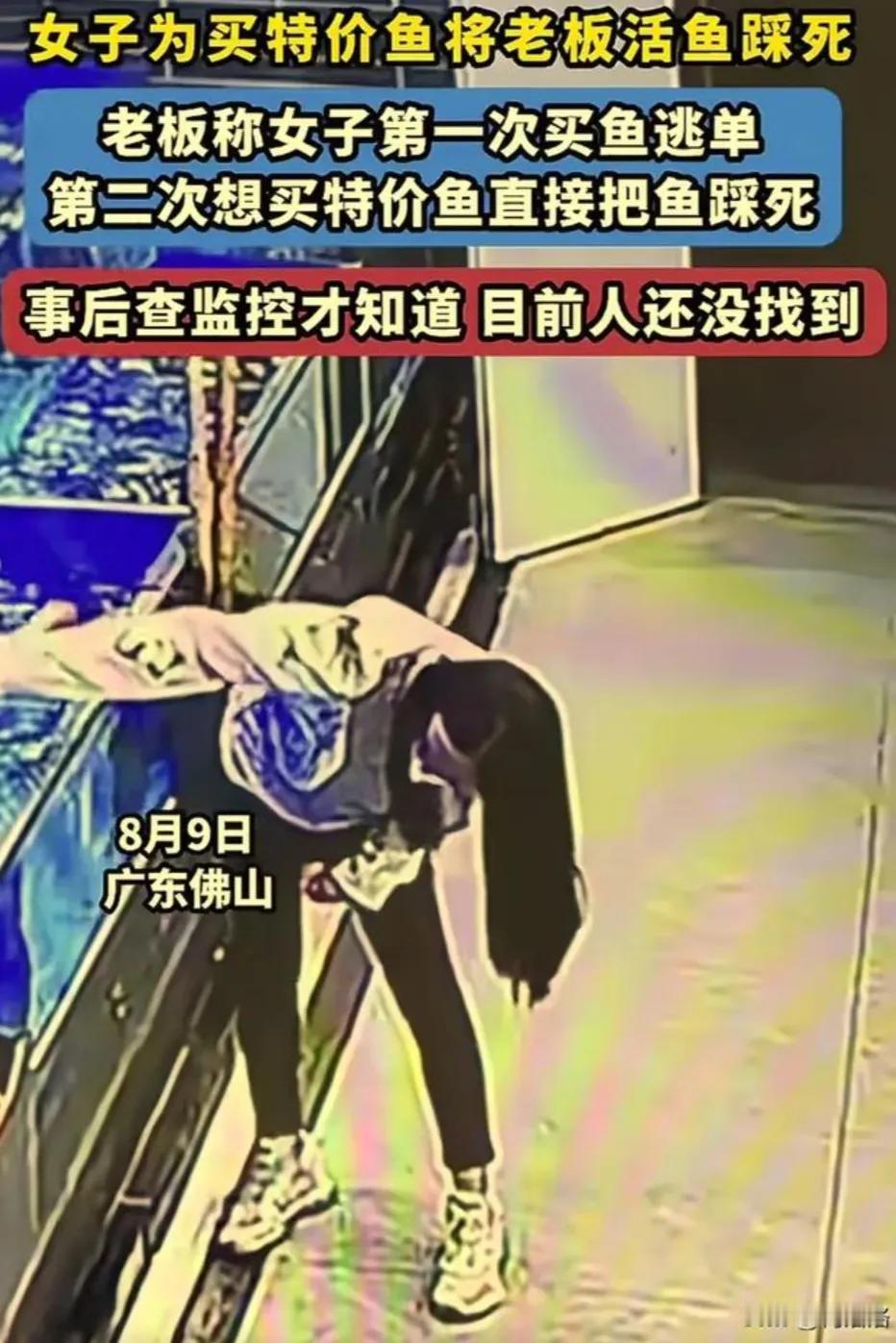 大千世界无奇不有，稀奇古怪事情接二连三的发生。

女子为买特价鱼，活活将鱼池里的