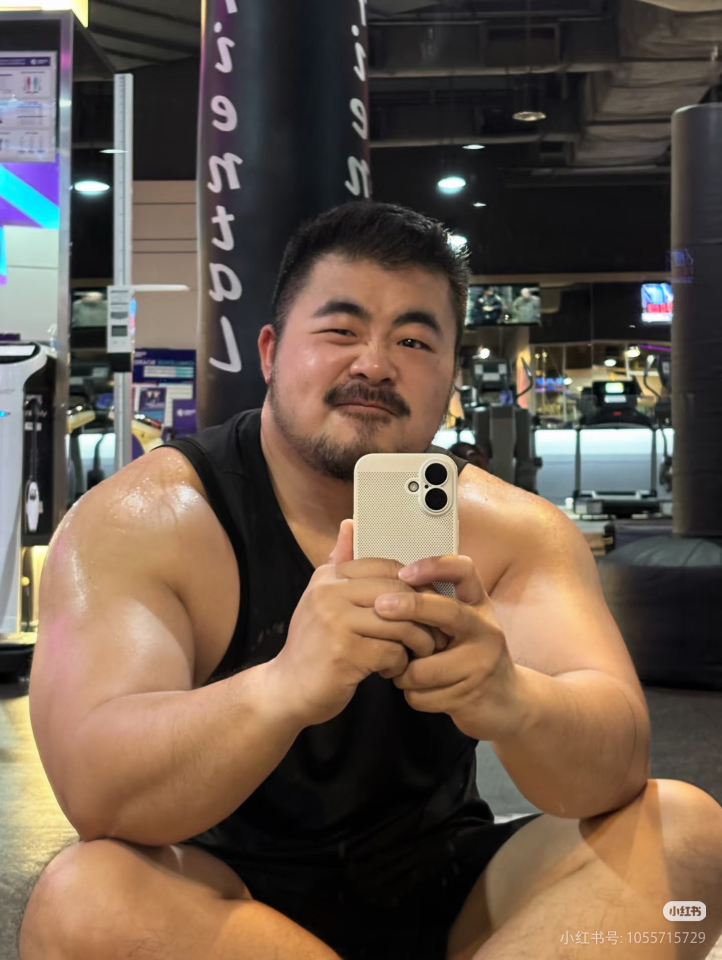 可爱壮熊 