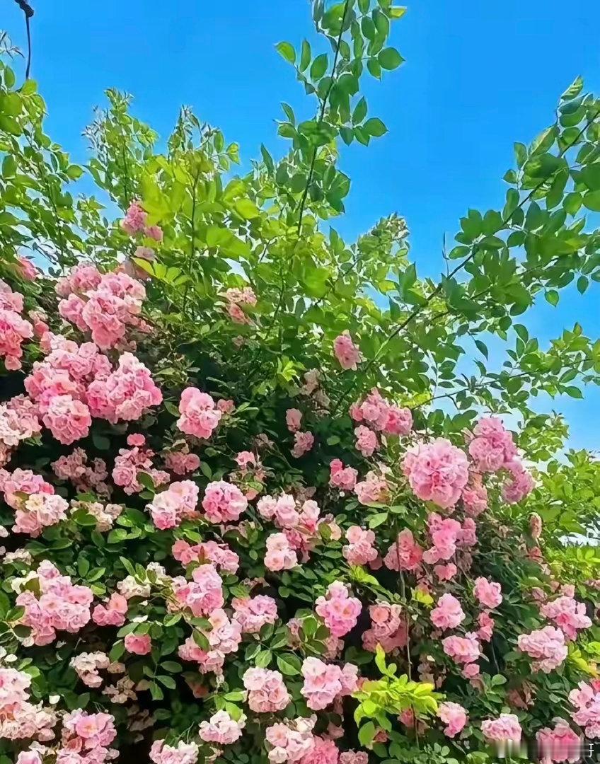 能稳定赚钱的交易者，九成时间只做四件事：1. 耐心等待等候标准点位、成型走势、入