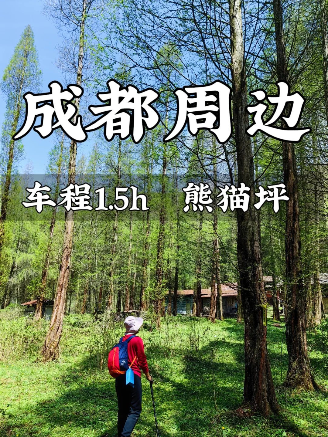 成都周边❗️1.5小时的隐藏秘境——熊猫坪