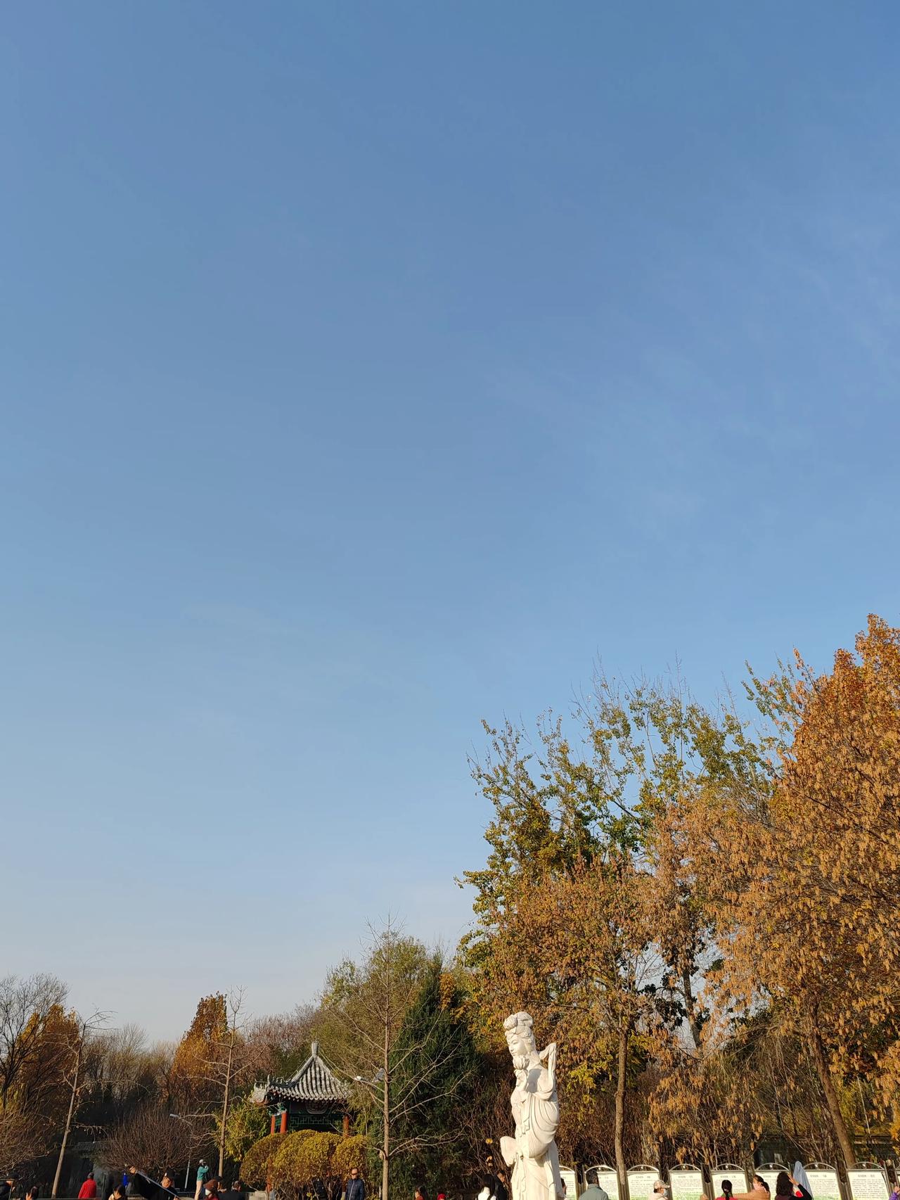 一张图证明冬天来了随手拍。