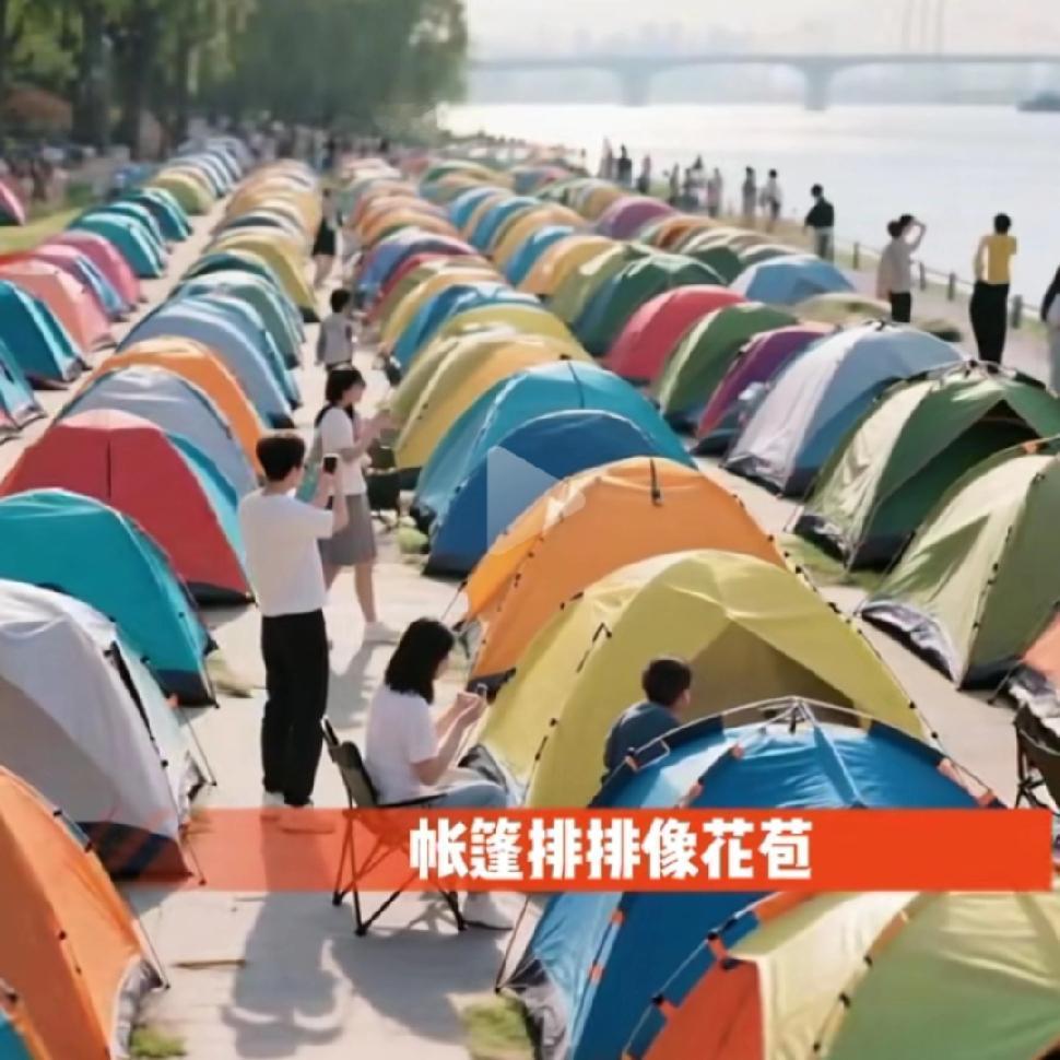 00后才是自信，自我的一代人！

00后是在网络百科全书上泡大的孩子，对世界的了