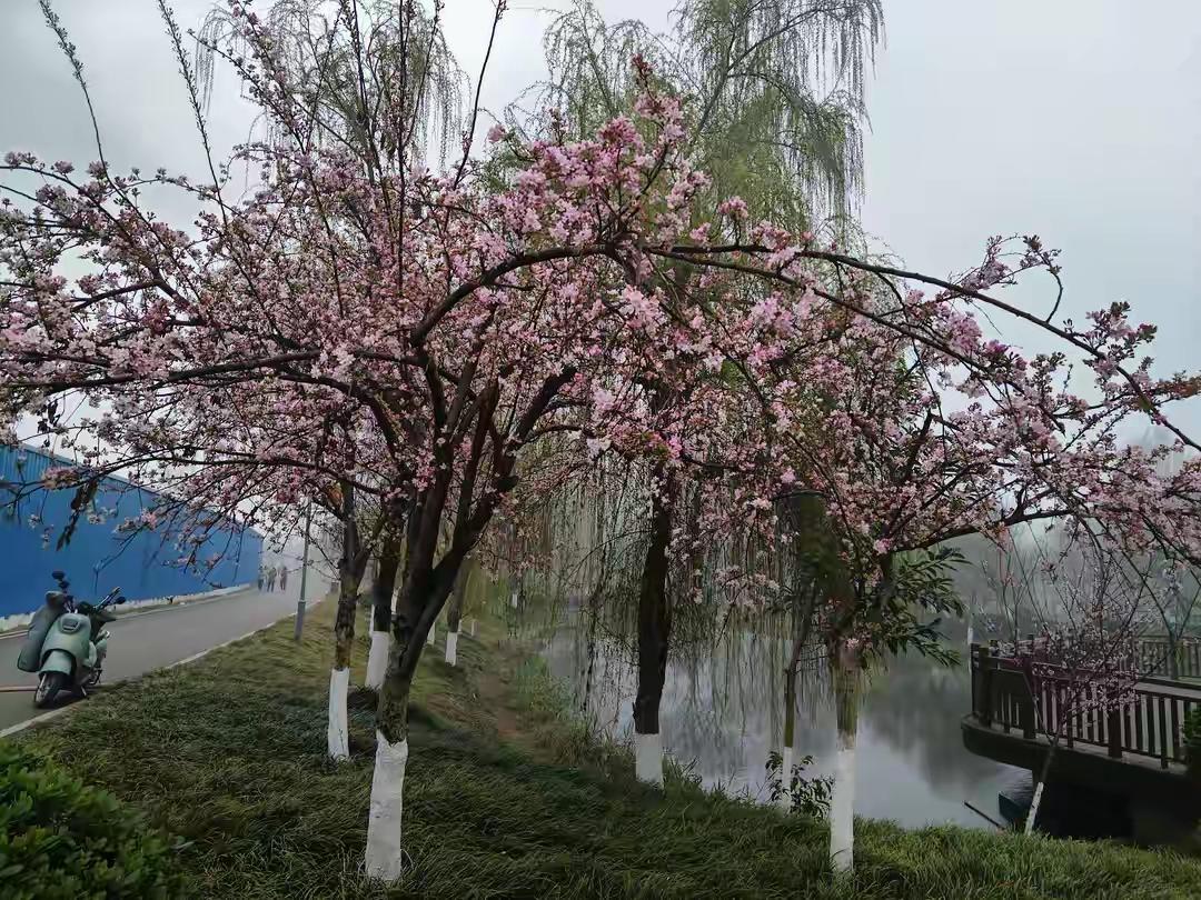 情人之间，能走过10年的，大多做对了这五件事，尤其是最后一件
情人之间能够携手走