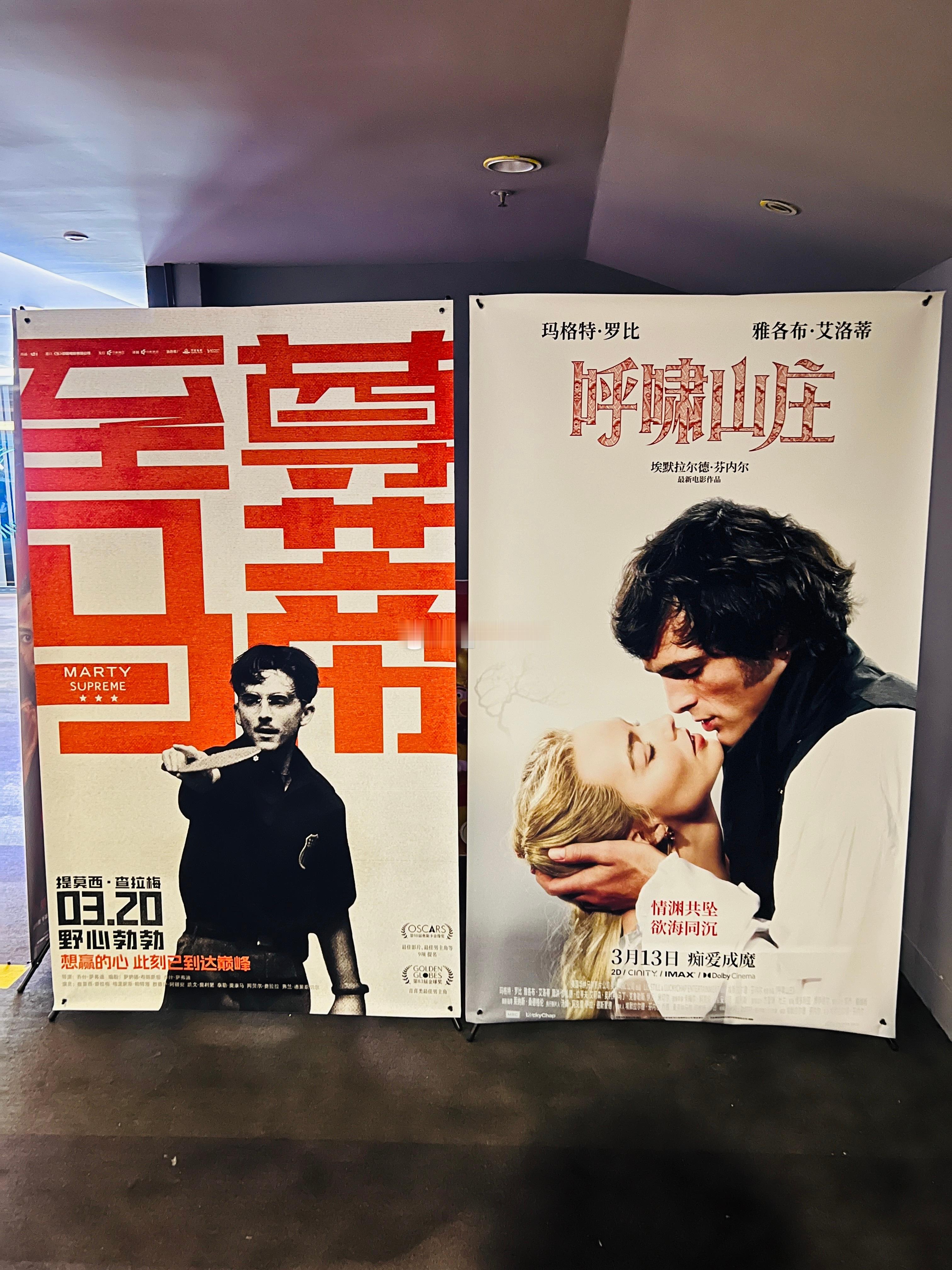 3月上映的电影 至尊马蒂 和 呼啸山庄 线下海报展架已到影城春节档马上有戏