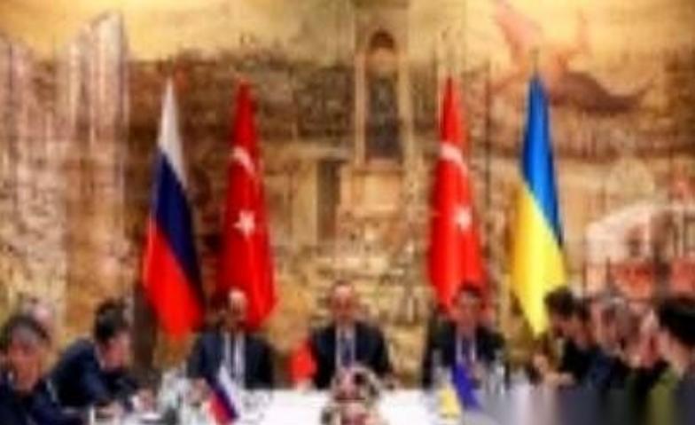 你以为这是在打架？不，这是围猎。一头巨熊，被故意拖在泥潭里，慢慢放血。打到现在，