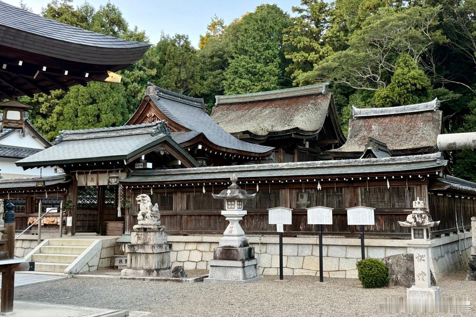 日本国宝滋贺县苗村神社（补发之前内容）非常古老的神社，大概10世纪之前就有了。1