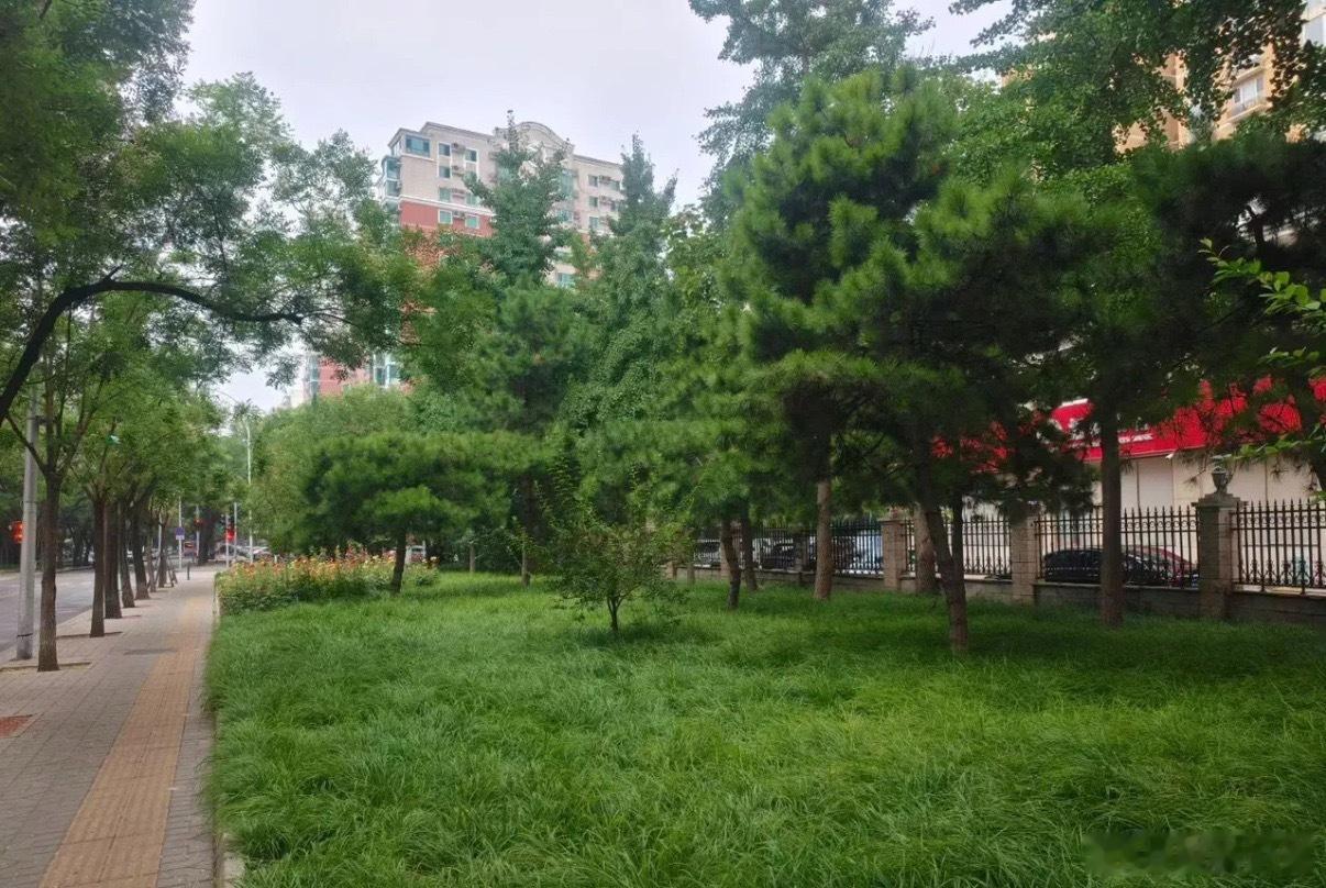 a股每一轮牛市都有一个规律，按这个规律来说，牛市结束了！每一次牛市，从头到尾，持