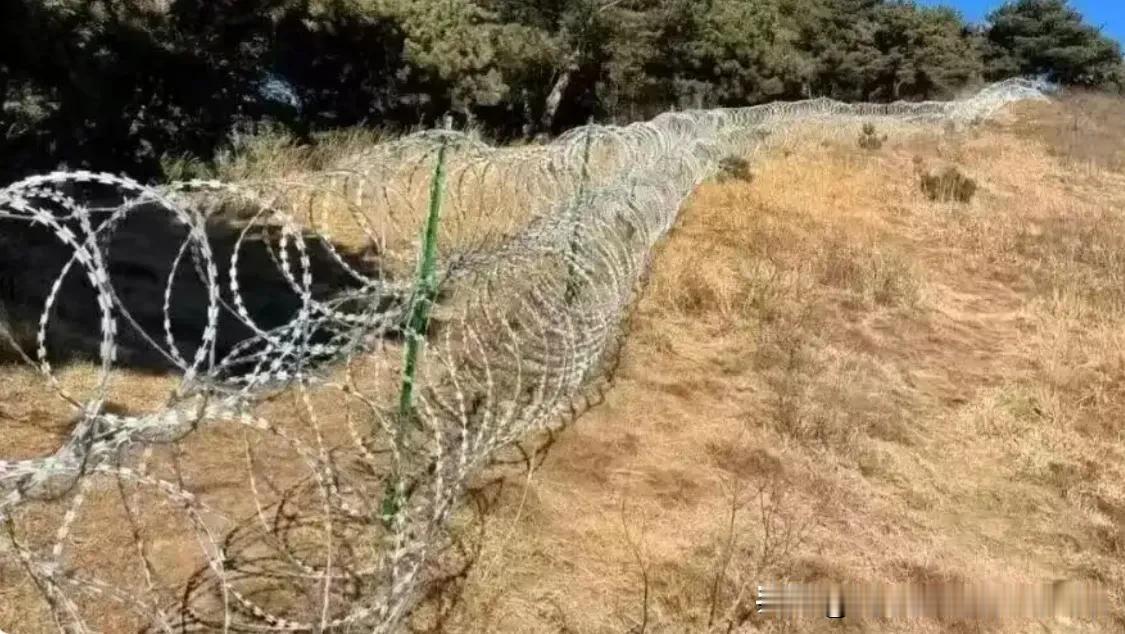 泰山“刀片网”道歉信，我读了三遍，越读越不对劲！

泰山管委会终于回应“刀片刺绳