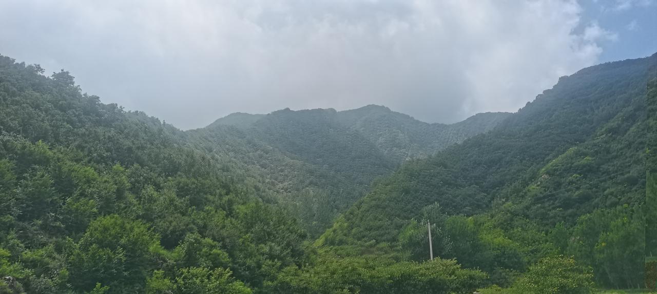 有消息称，知名人士郑强担任了河南郑州民办学校西亚斯学院战略发展专家委员会主任，一