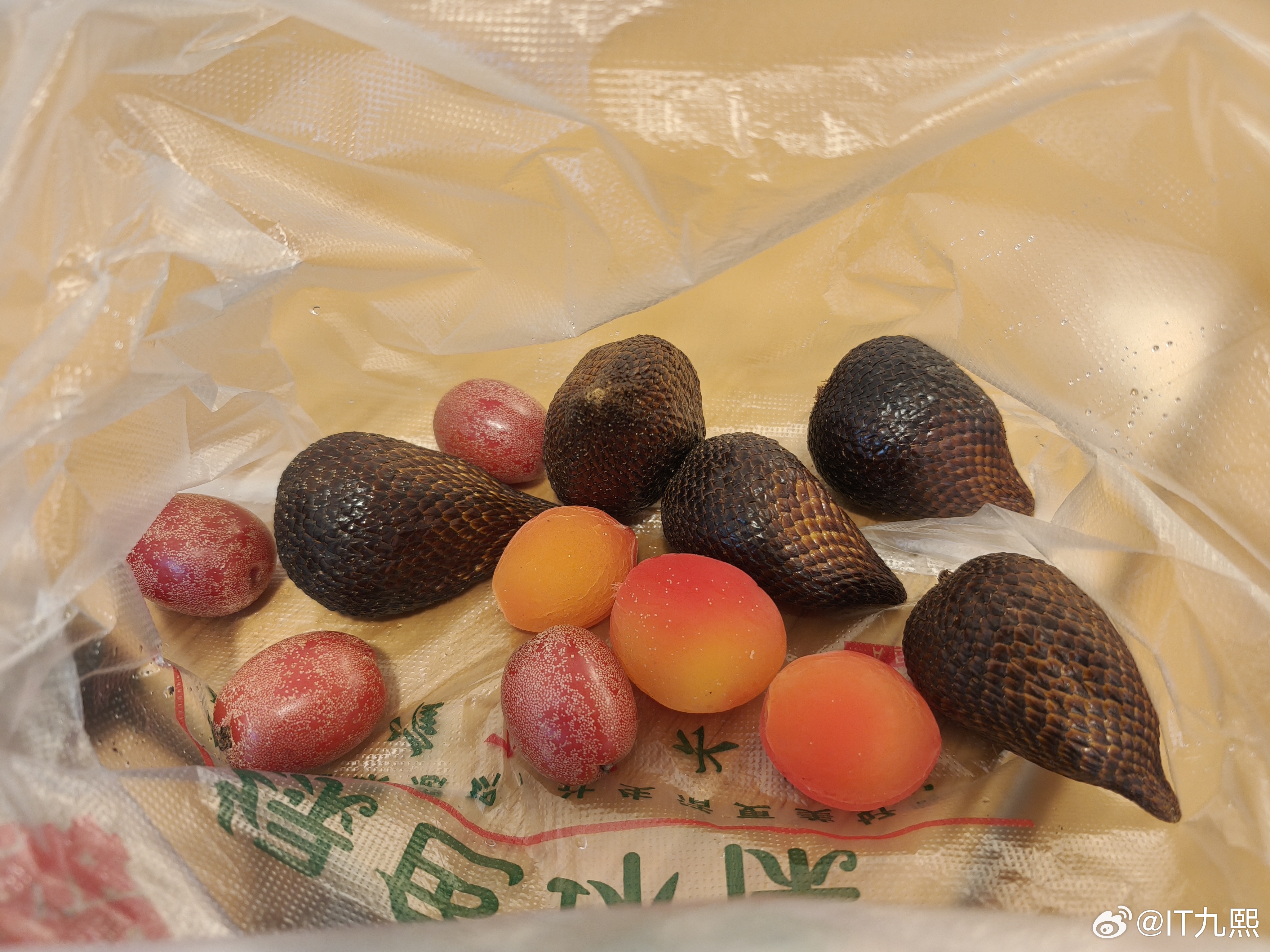 哎，劝不动，我姐非要尝尝哈儿果