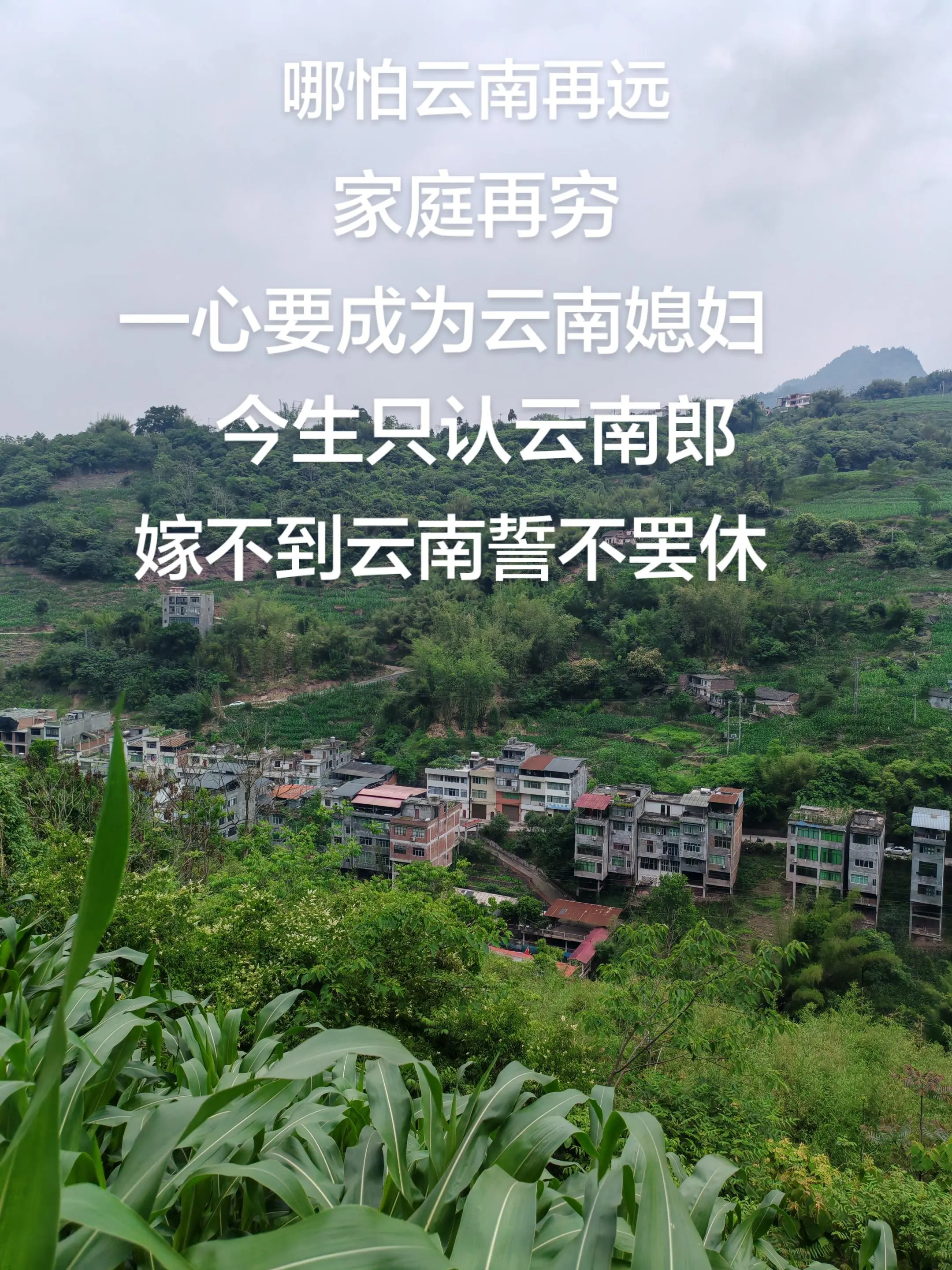 不管云南多远家再穷，外省再好都不留恋，今生只想成为云南媳妇，只认准云南...