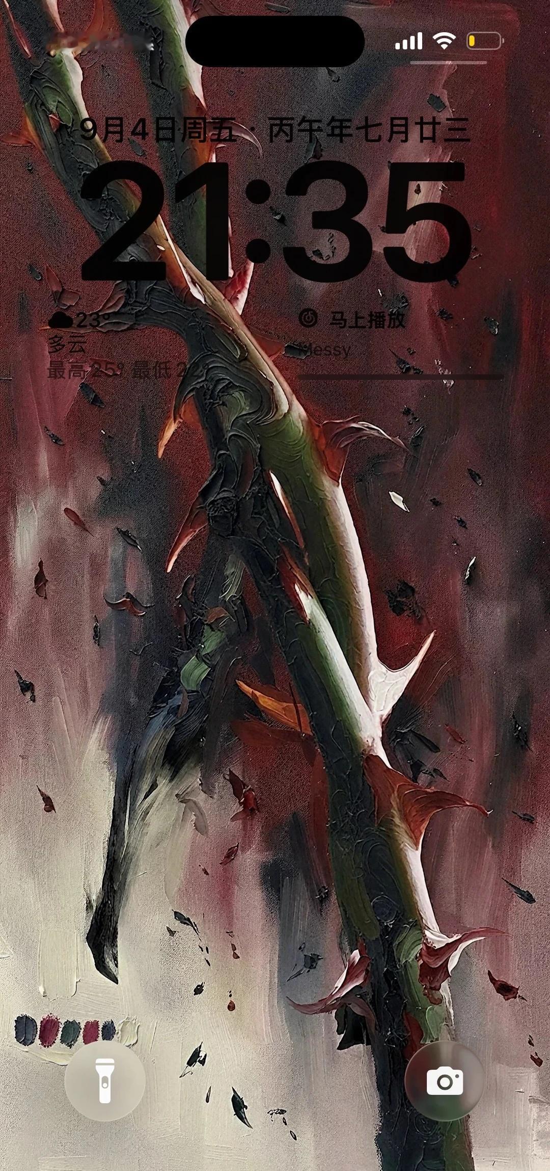 iOS｜荆棘壁纸好有感觉！
ios壁纸 你的壁纸该换了 每日更新壁纸 高级感锁屏