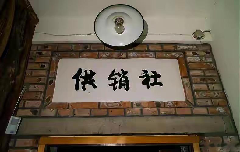 纽约市长宣布建国营供销社 纽约要搞“美式供销社”？别被带偏了！其实就是市里出钱出