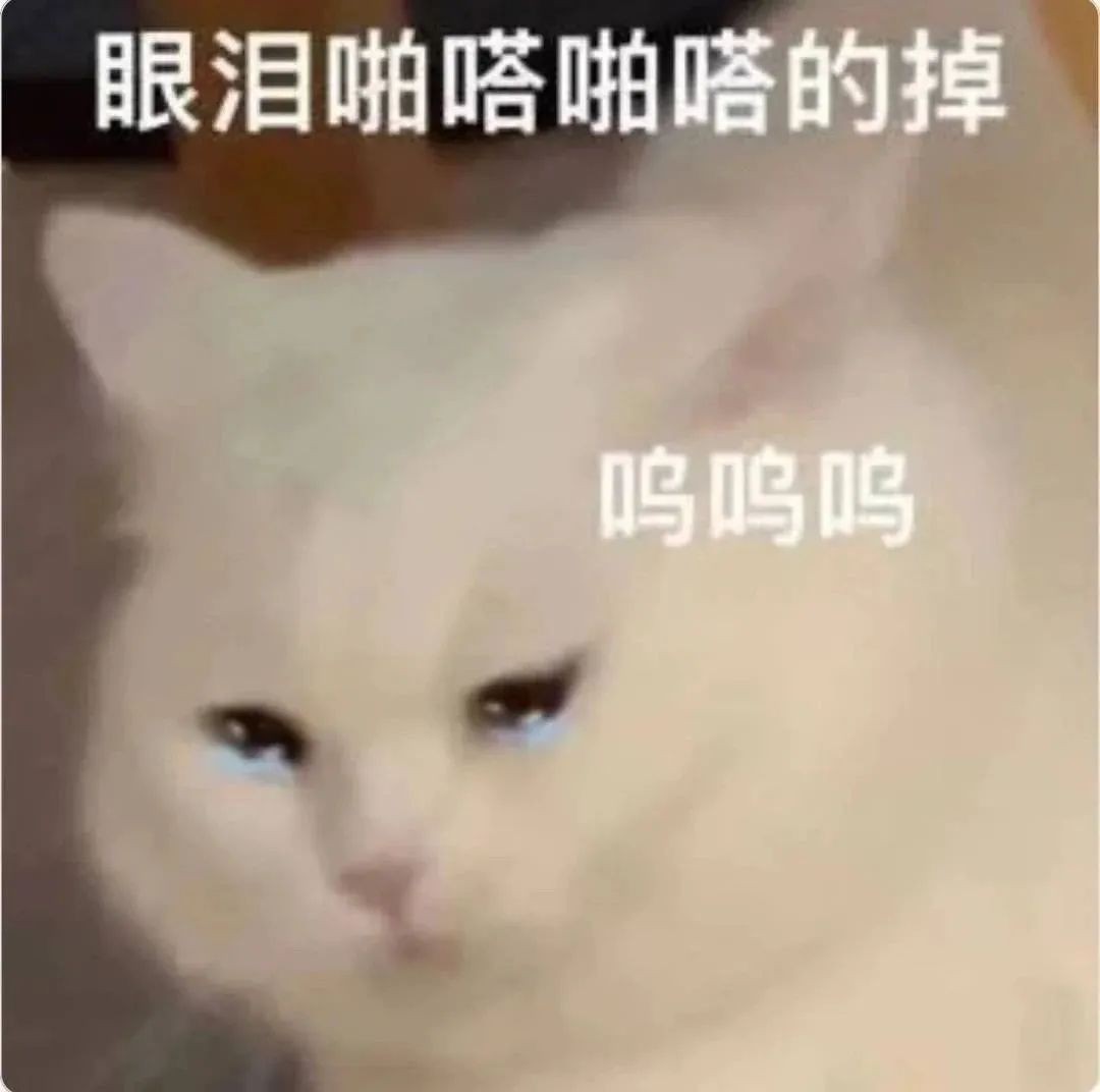 今天的表情包 ​​​