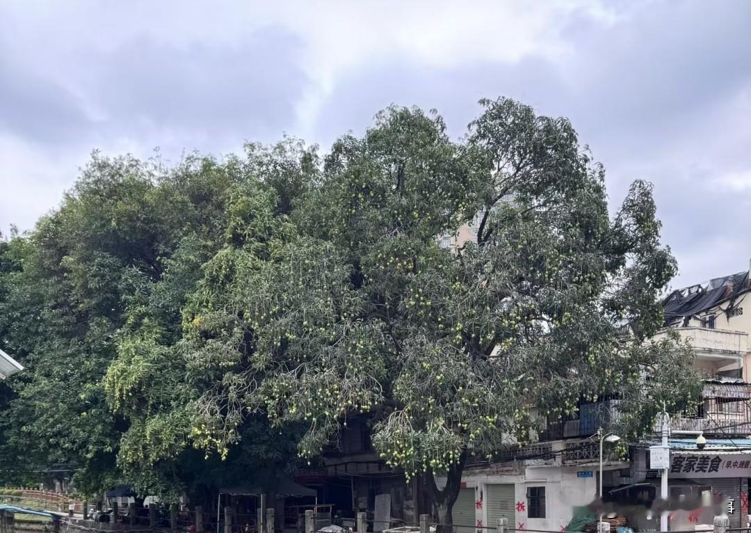 [锦鲤到来]人民日报说

一定要和同频的人在一起
和鼓励你前行的人在一起
和有趣