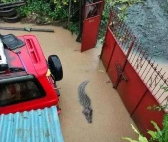 雨季汽车防盗的最高境界！！！海阔试车超话 ​​​