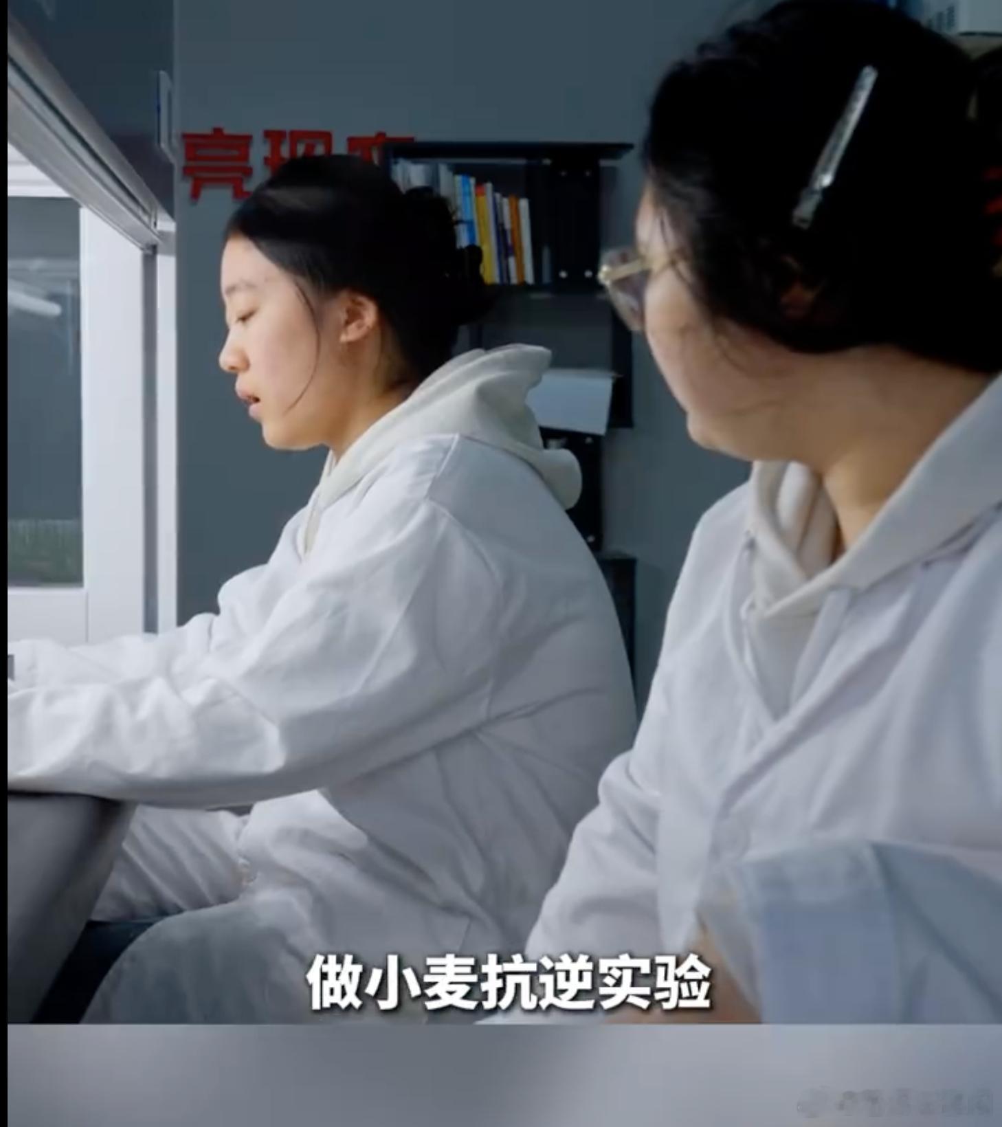 河南00后大学生让AI下地干农活这个疑似是千问的广告，而且很明显说的是解决实验室