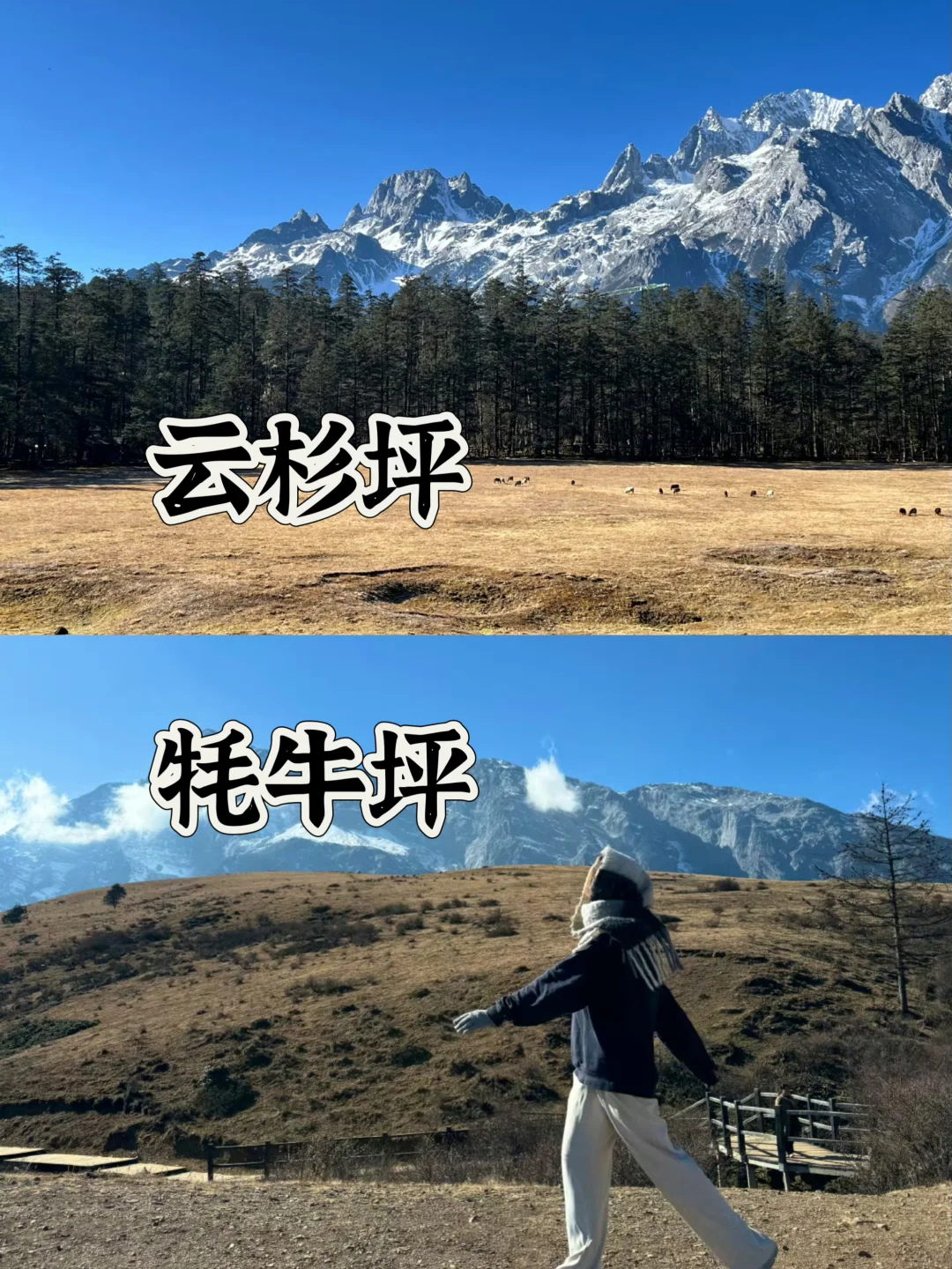 选云杉坪还是选牦牛坪⁉不爬雪山的看过来