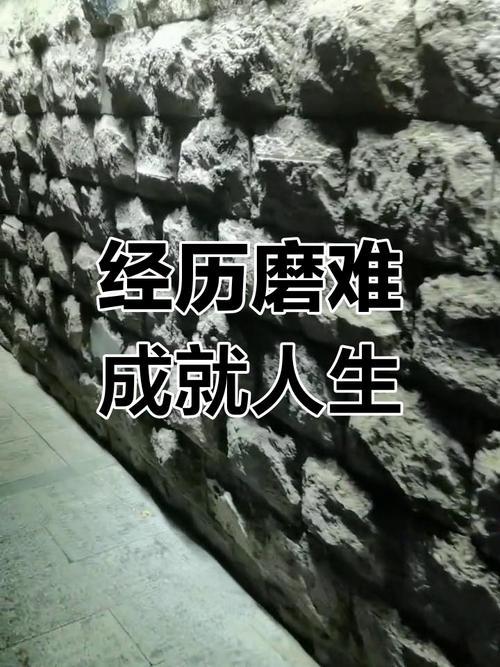 人生就要尝试甜酸苦辣滋味的过程，所以每个过来人都一段含辛茹苦的经历。
到了晚年该