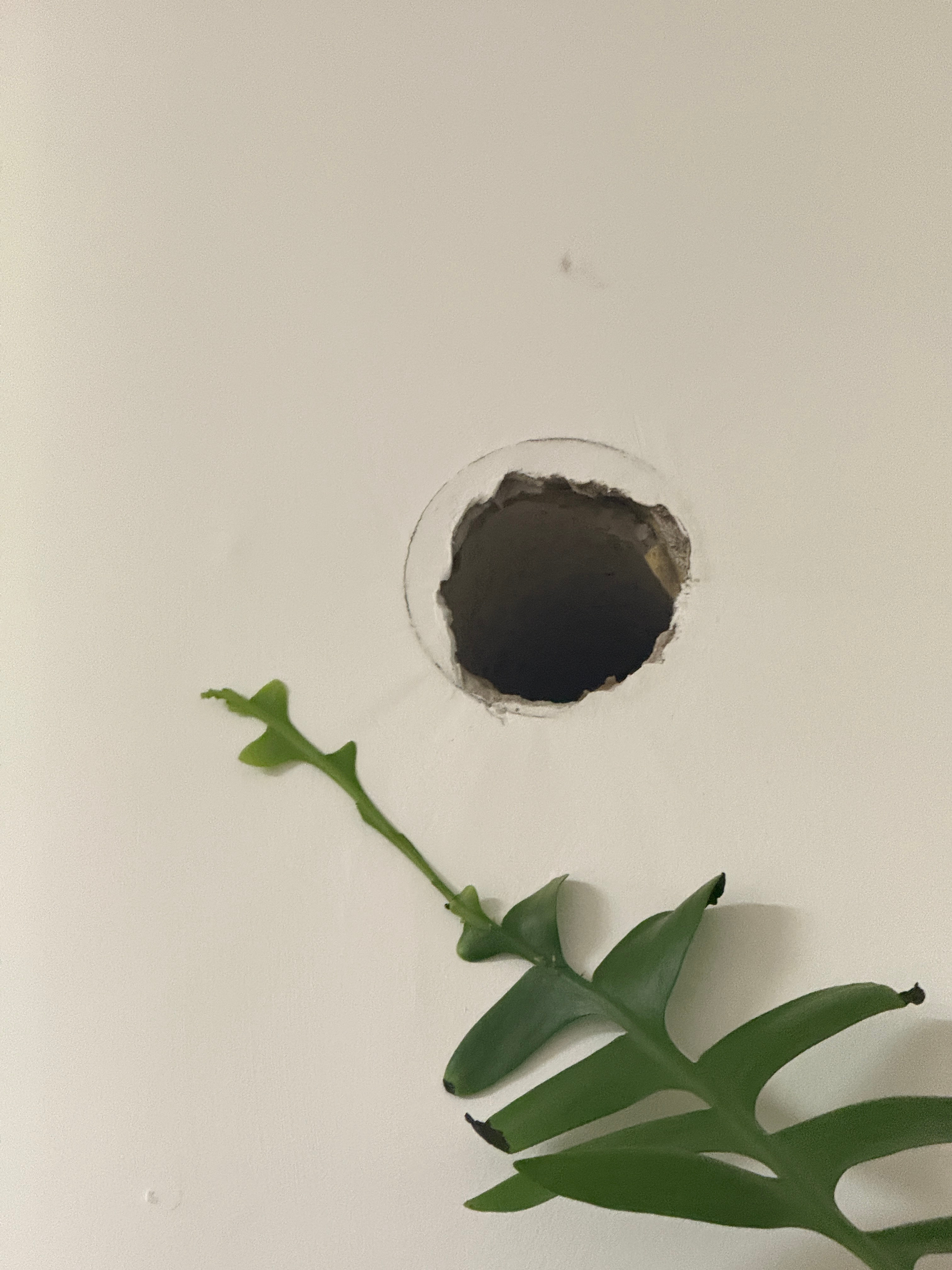我寻思北京也没有台风啊狂风大作的 把我空调管道的预留口给吹开了，刚看到一客厅的土