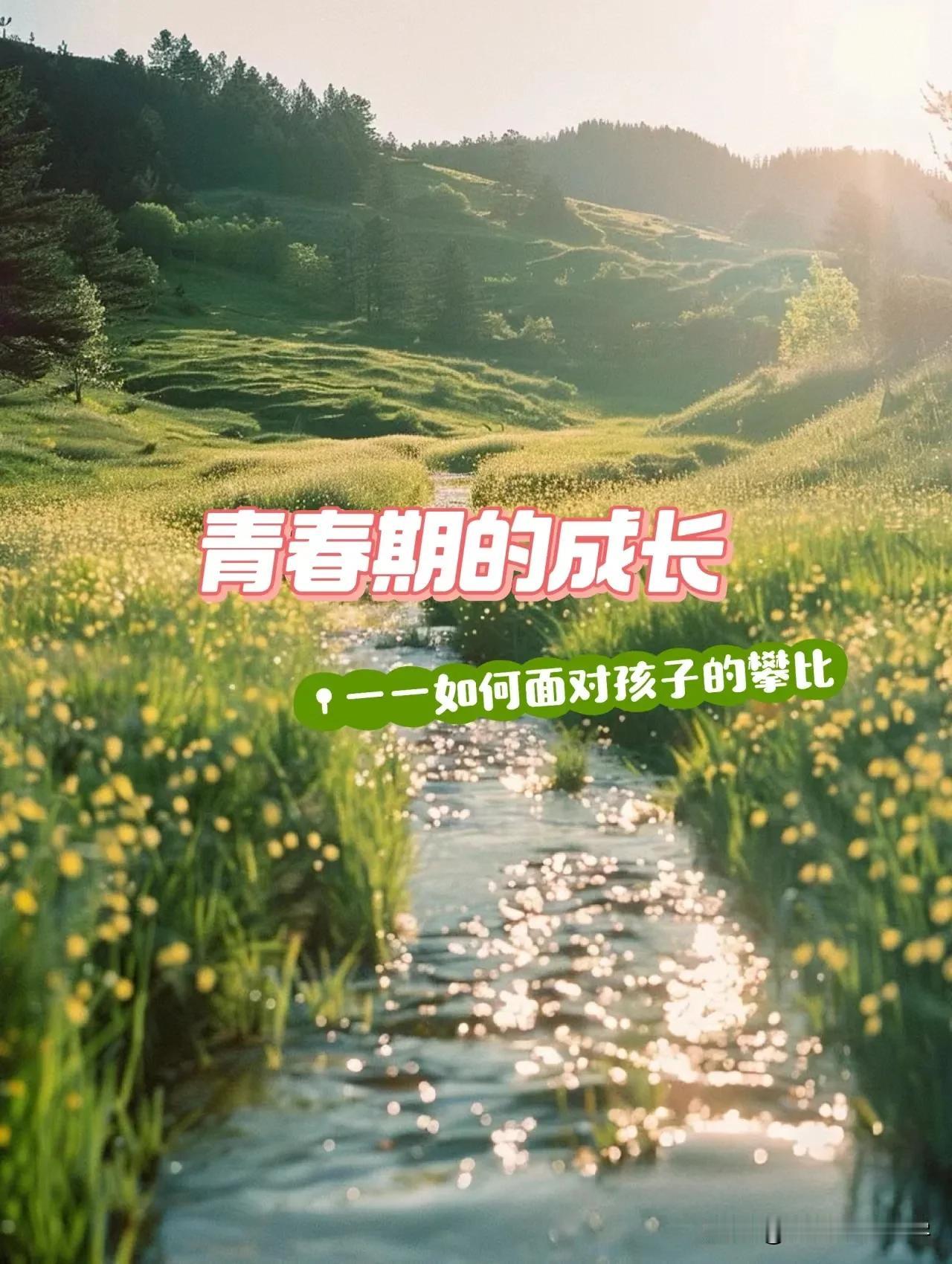 儿子上初中，就读于一所私立学校。那里许多孩子的家庭条件优渥。如今的孩子，每日在校