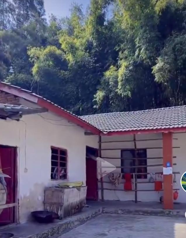 宽敞整洁干净的马路，清新的空气，绿茵茵的树木，还有不同建筑风格的小别墅，家家院子