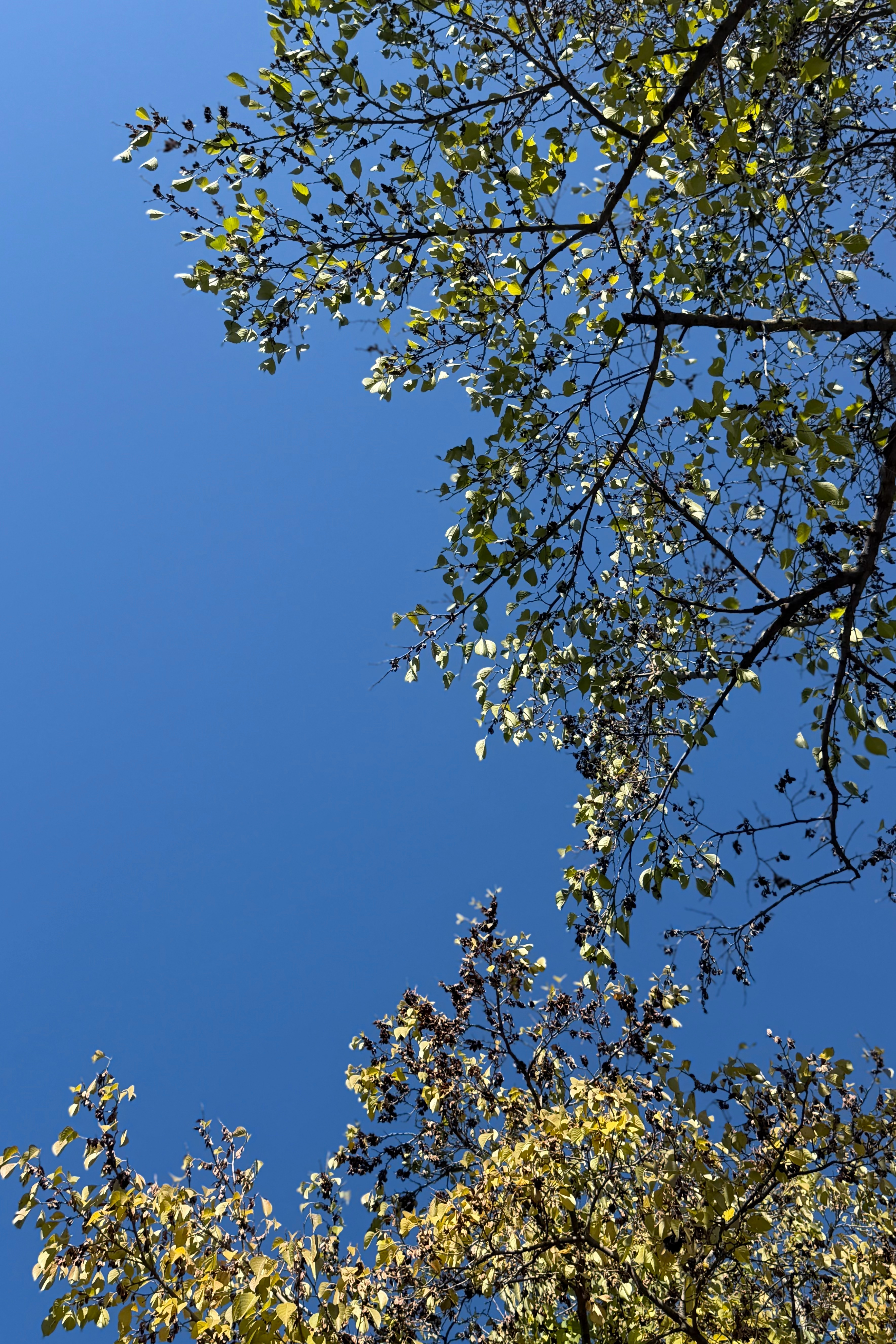 有阳光我心情就好好啊