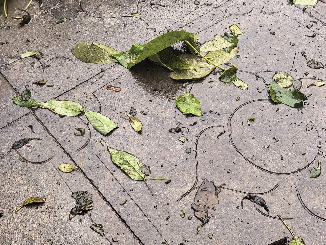 【进入冬天的河北，冷的让人发懵】
持续了近半个月的雨，送走了本该到来的秋天，也差
